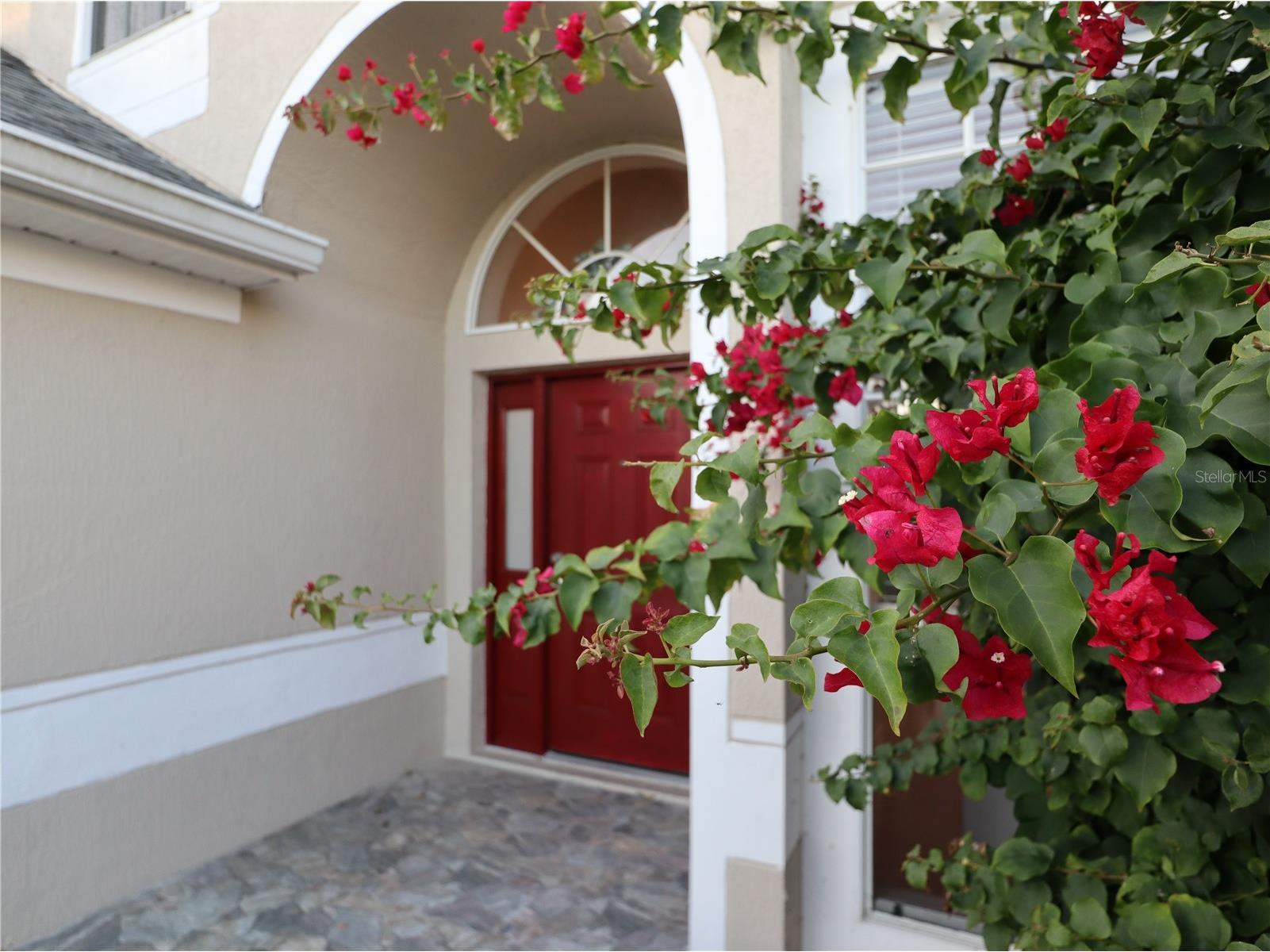 3284 Falcon Point Drive Kissimmee FL 34741 O6375092 image3