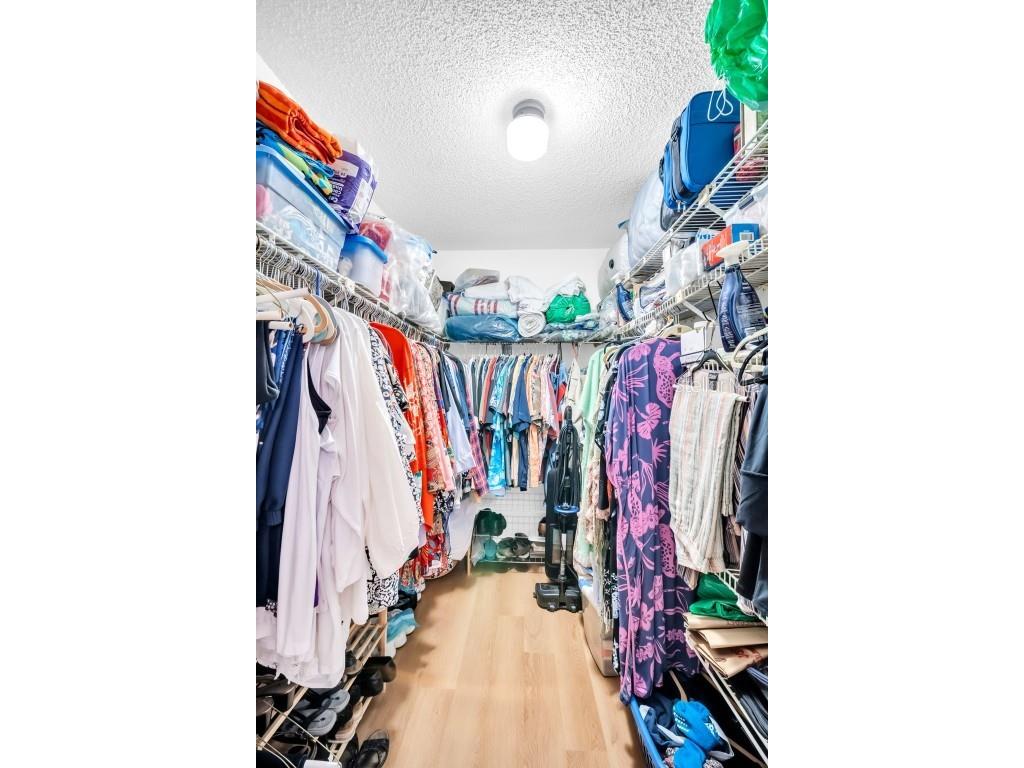 3284 Gorse Court Palm Harbor FL 34684 TB8415147 image35