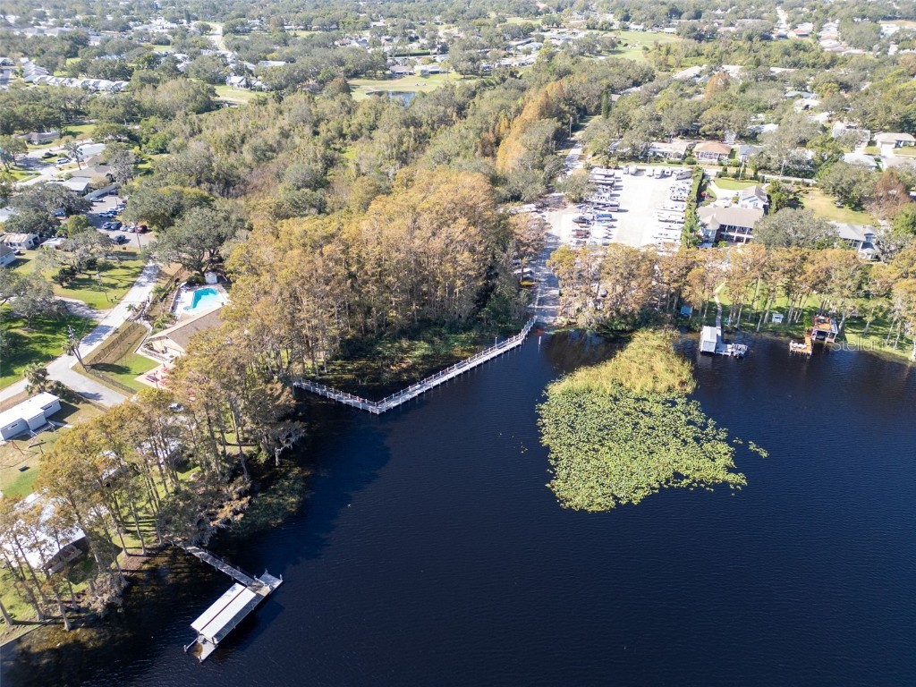 3284 Gorse Court Palm Harbor FL 34684 TB8415147 image53