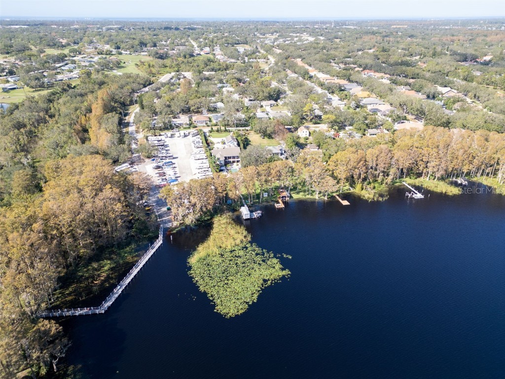 3284 Gorse Court Palm Harbor FL 34684 TB8415147 image54