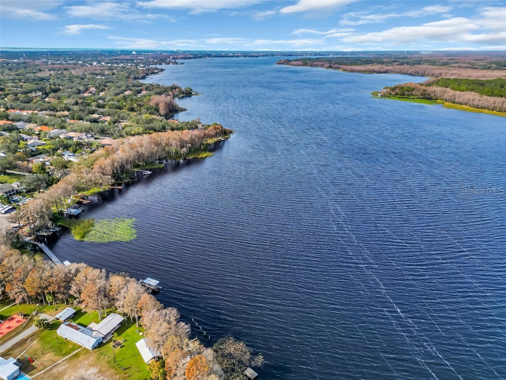 3284 Gorse Court Palm Harbor FL 34684 TB8415147 image55