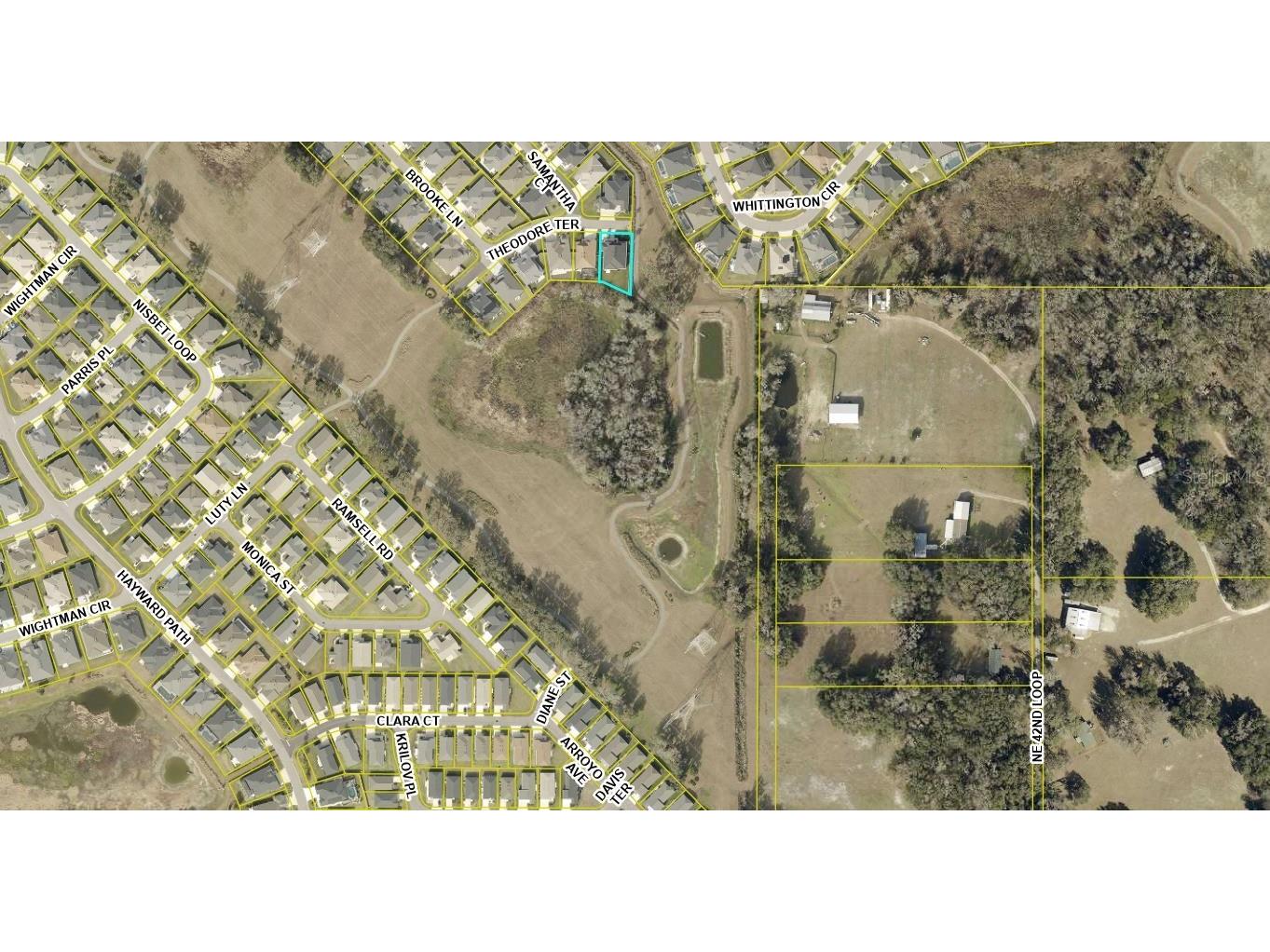3284 Theodore Terrace The Villages FL 32163 A4689263 image22