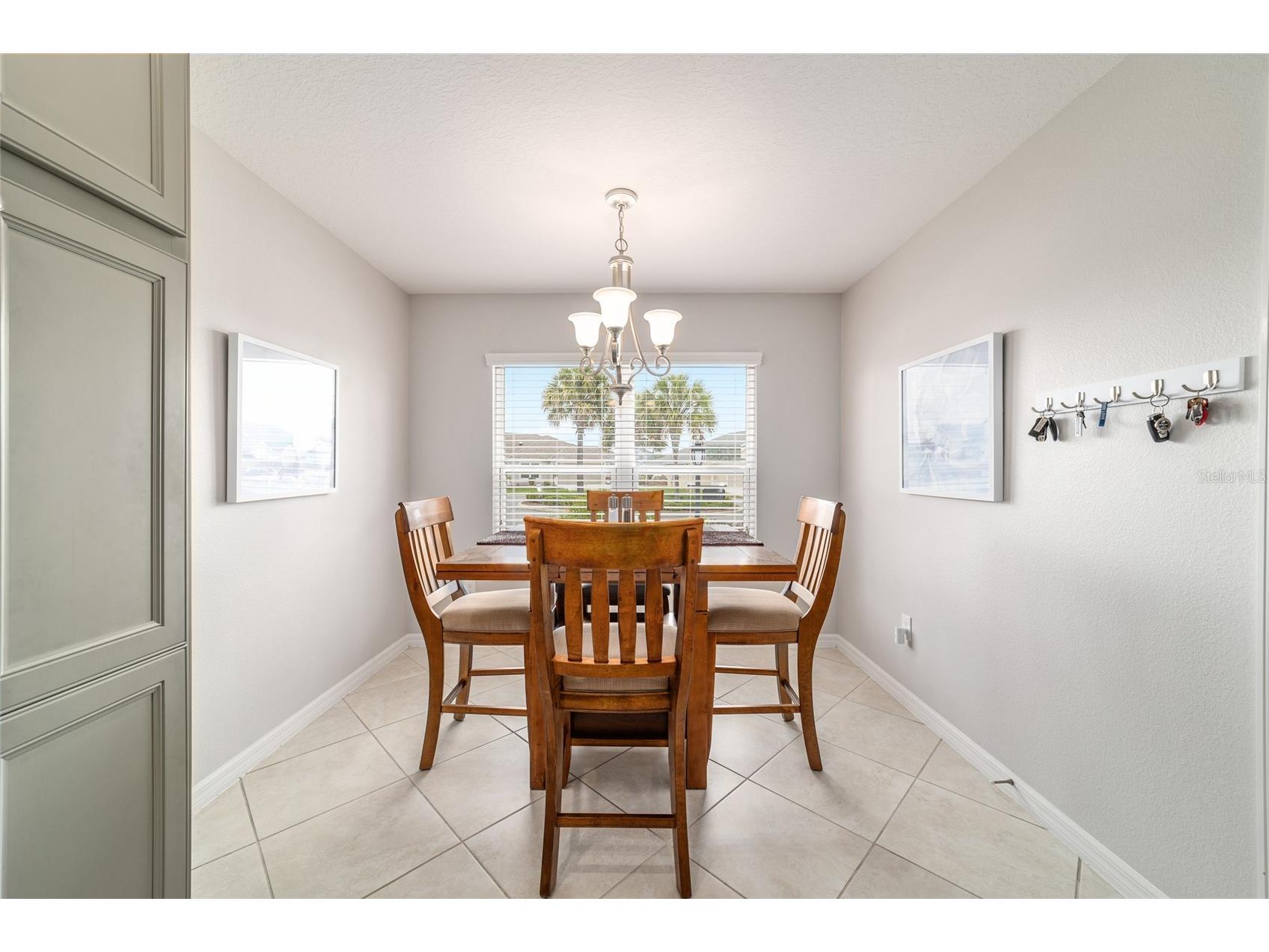 3285 Dressendorfer Drive The Villages FL 32163 OM724285 image19