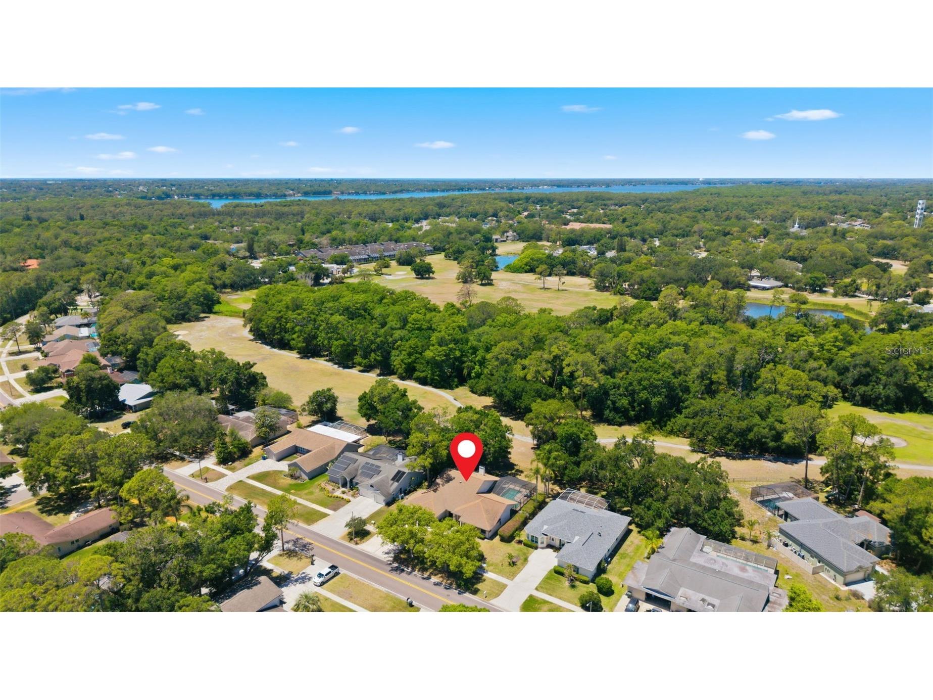 3285 Tarpon Woods Boulevard Palm Harbor FL 34685 TB8503463 image45