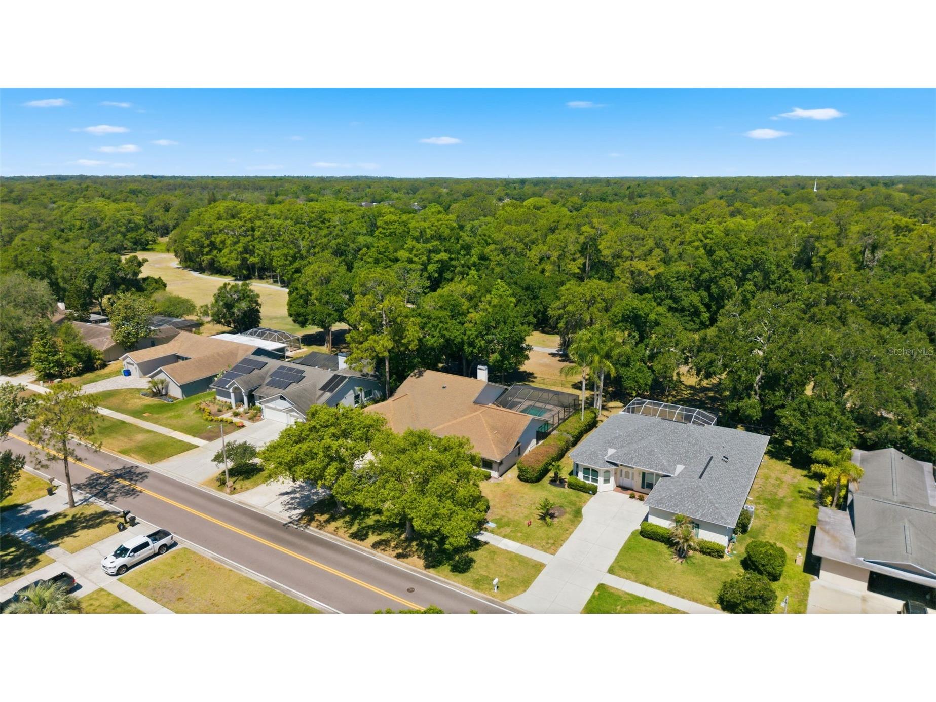 3285 Tarpon Woods Boulevard Palm Harbor FL 34685 TB8503463 image51