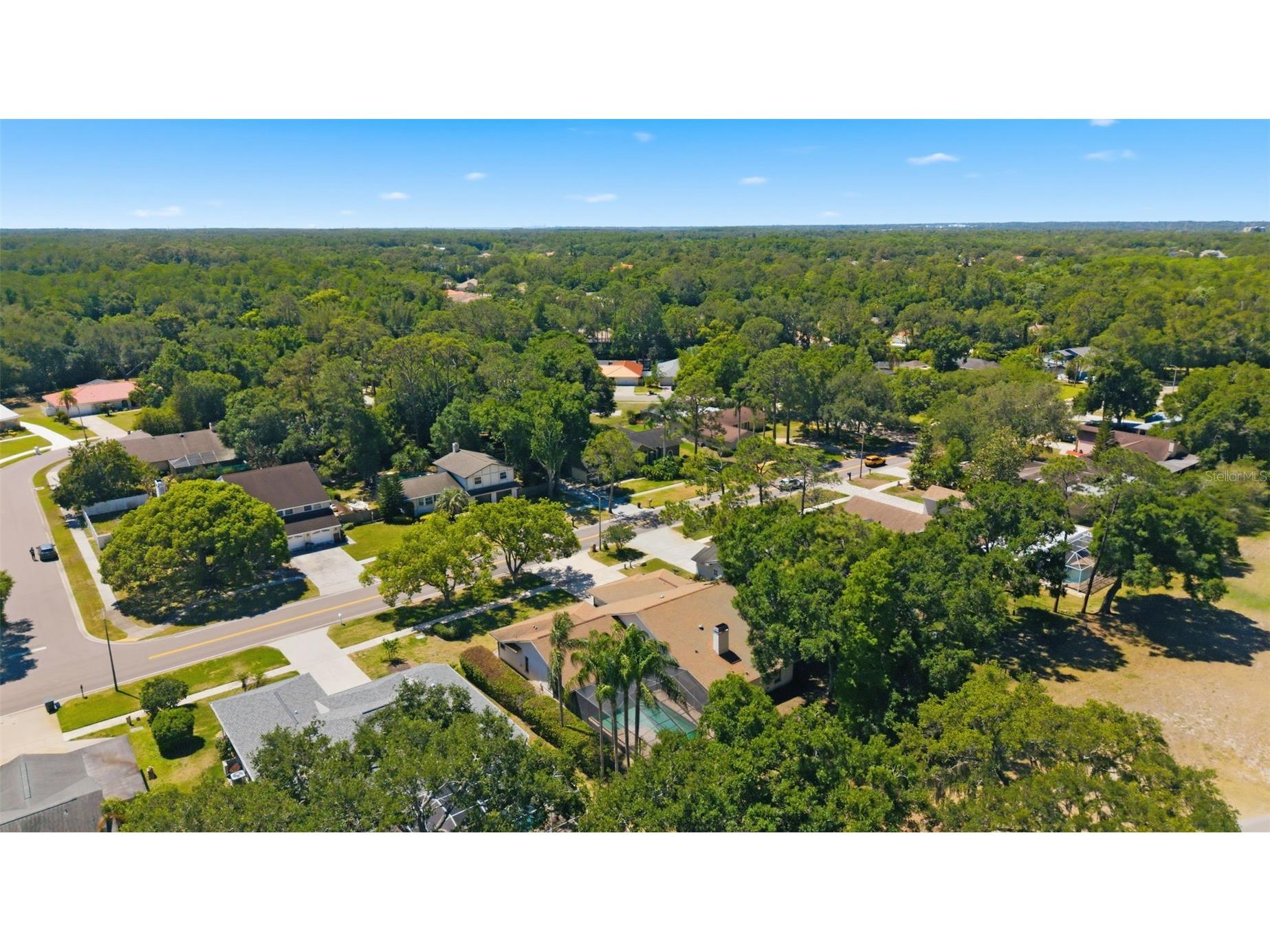 3285 Tarpon Woods Boulevard Palm Harbor FL 34685 TB8503463 image52