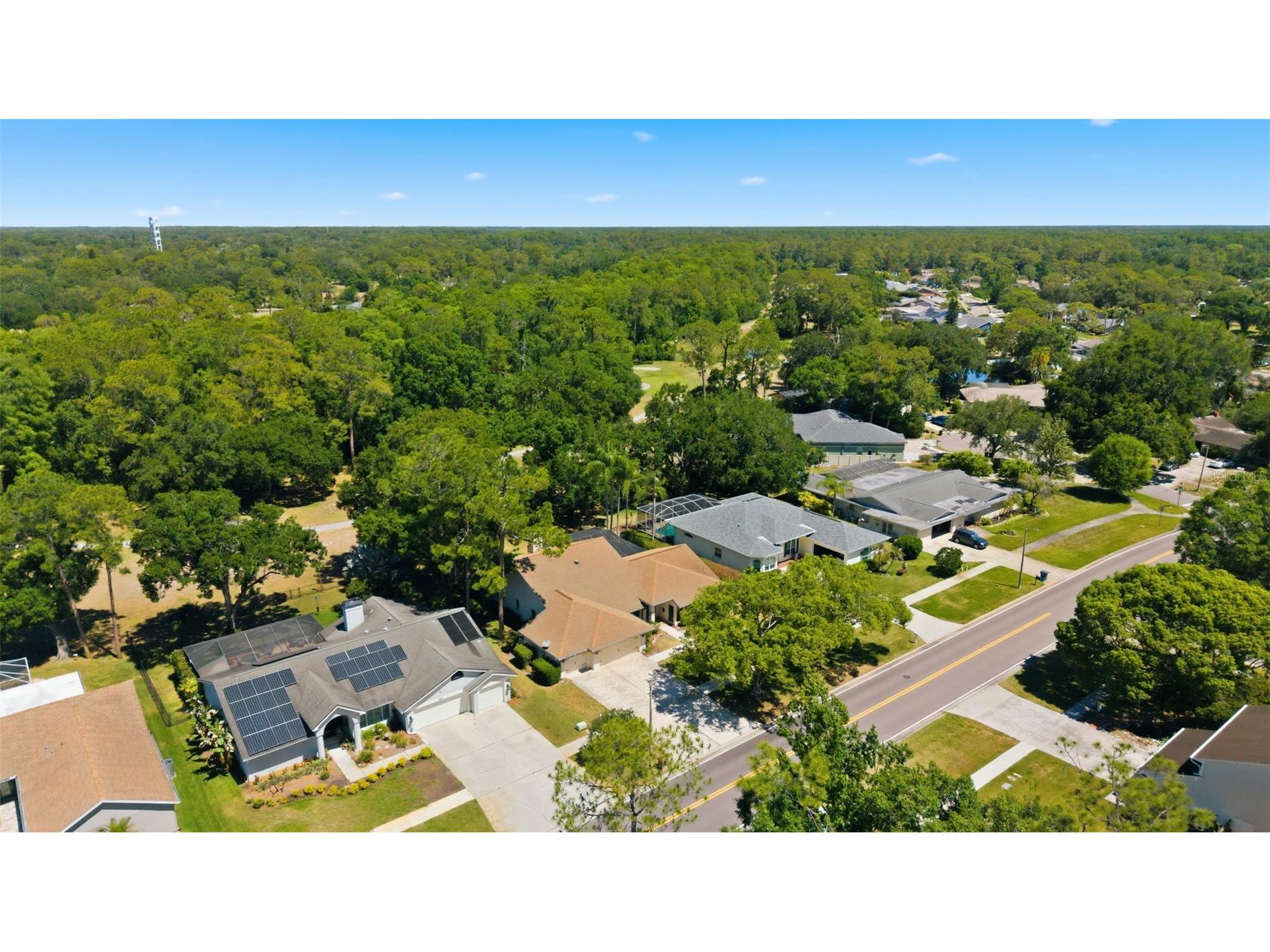 3285 Tarpon Woods Boulevard Palm Harbor FL 34685 TB8503463 image53