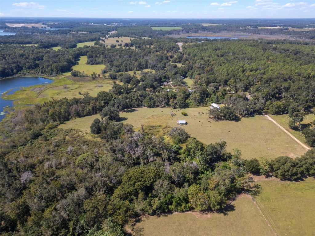 32854 Lister Road Dade City FL 33523 TB8443952 image10