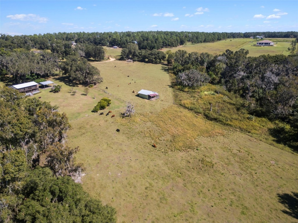 32854 Lister Road Dade City FL 33523 TB8443952 image12
