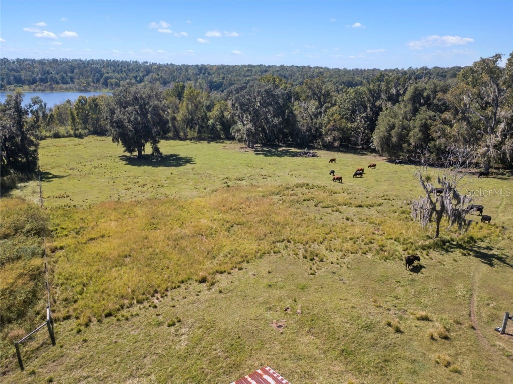 32854 Lister Road Dade City FL 33523 TB8443952 image30