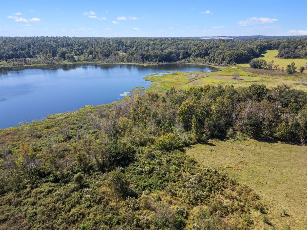 32854 Lister Road Dade City FL 33523 TB8443952 image6