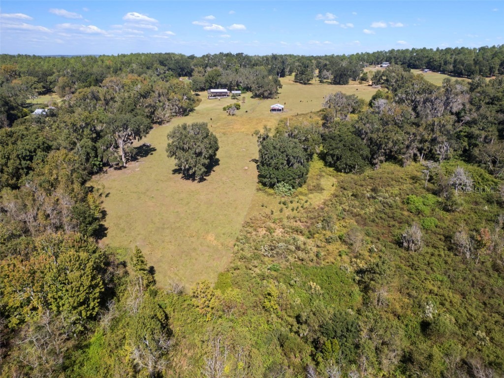 32854 Lister Road Dade City FL 33523 TB8443952 image8