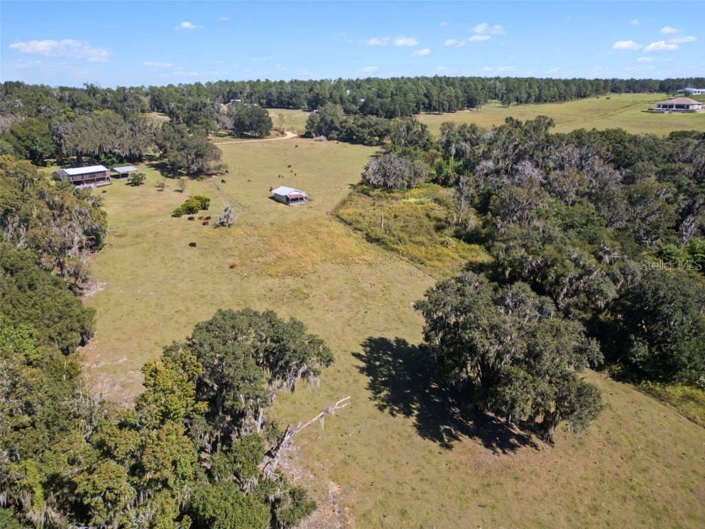 32854 Lister Road Dade City FL 33523 TB8443952 image9
