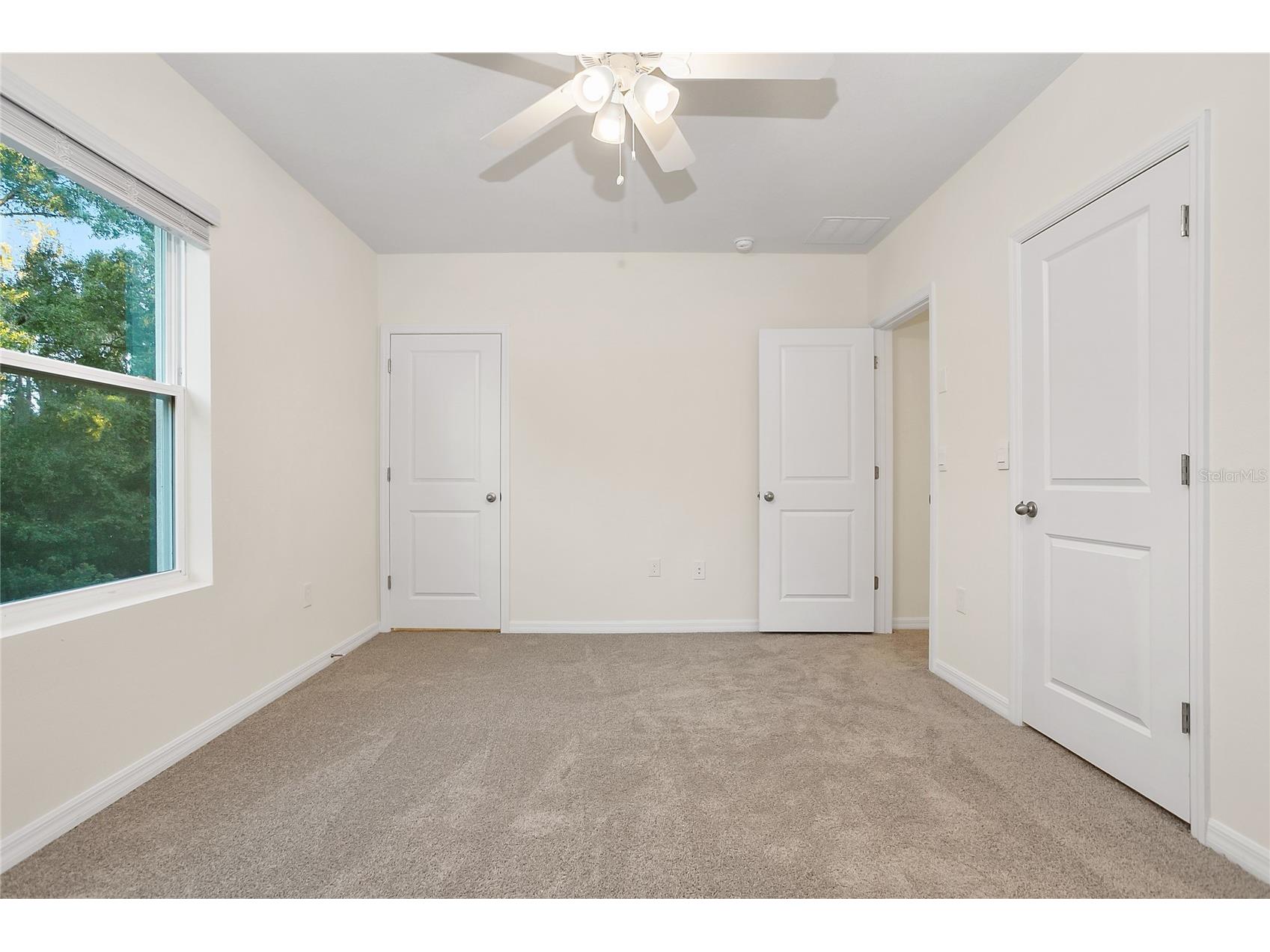 32859 Pez Landing Lane Wesley Chapel FL 33543 TB8458937 image11