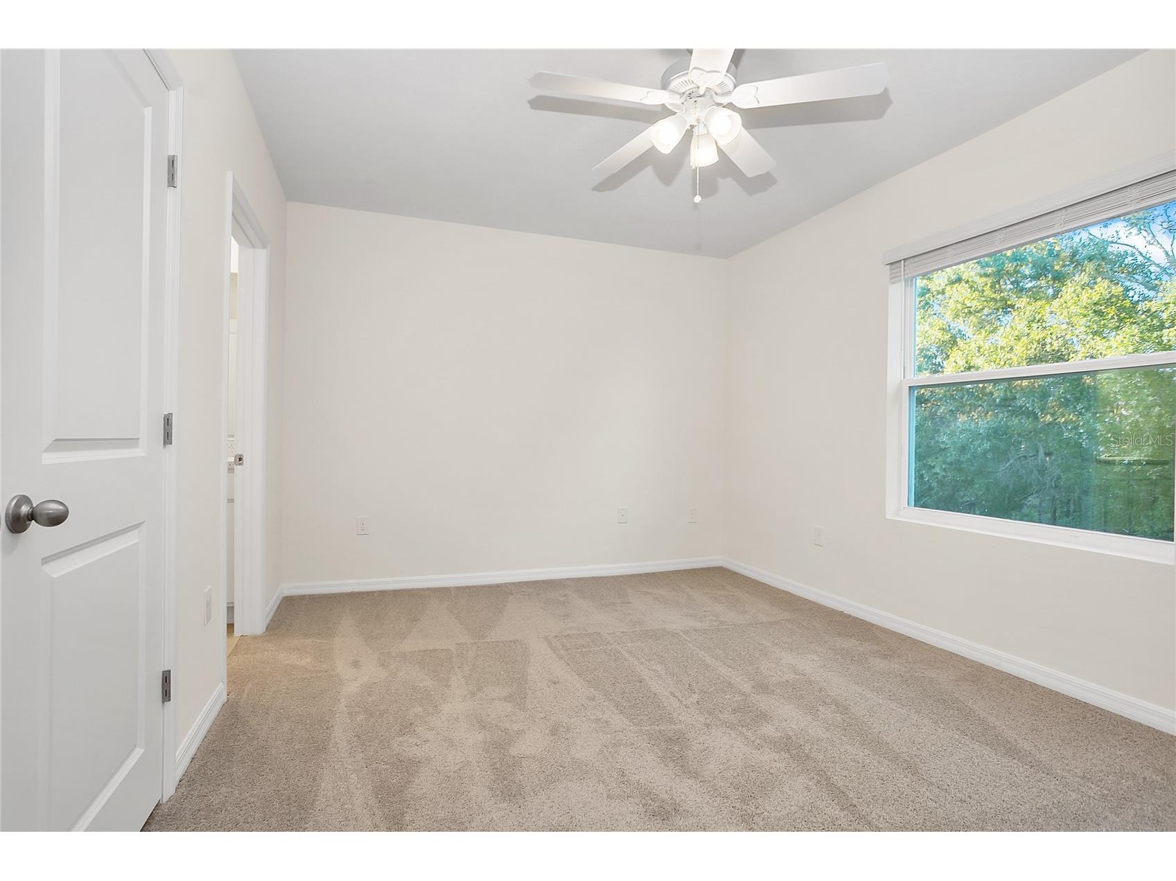 32859 Pez Landing Lane Wesley Chapel FL 33543 TB8458937 image12