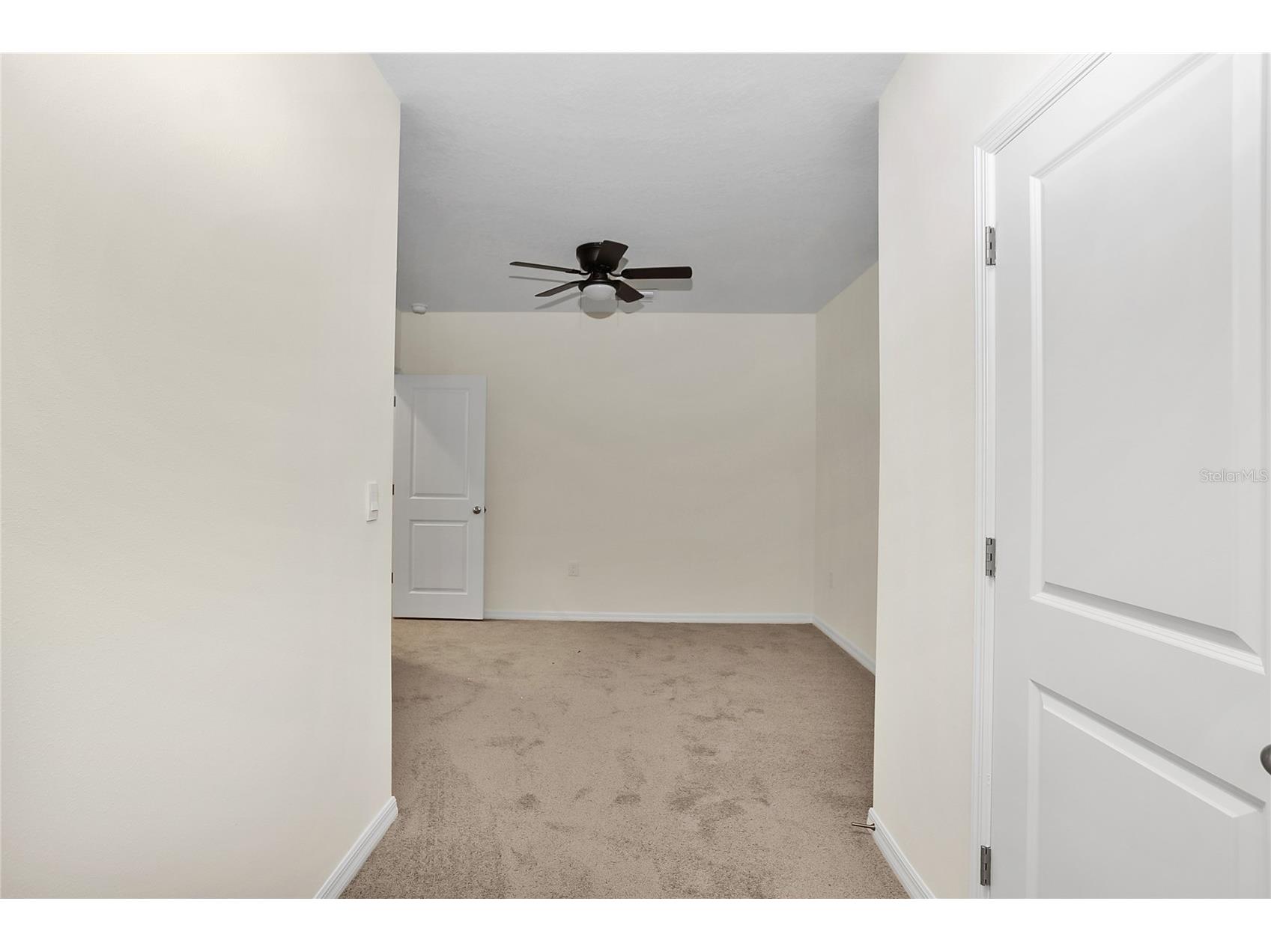 32859 Pez Landing Lane Wesley Chapel FL 33543 TB8458937 image16