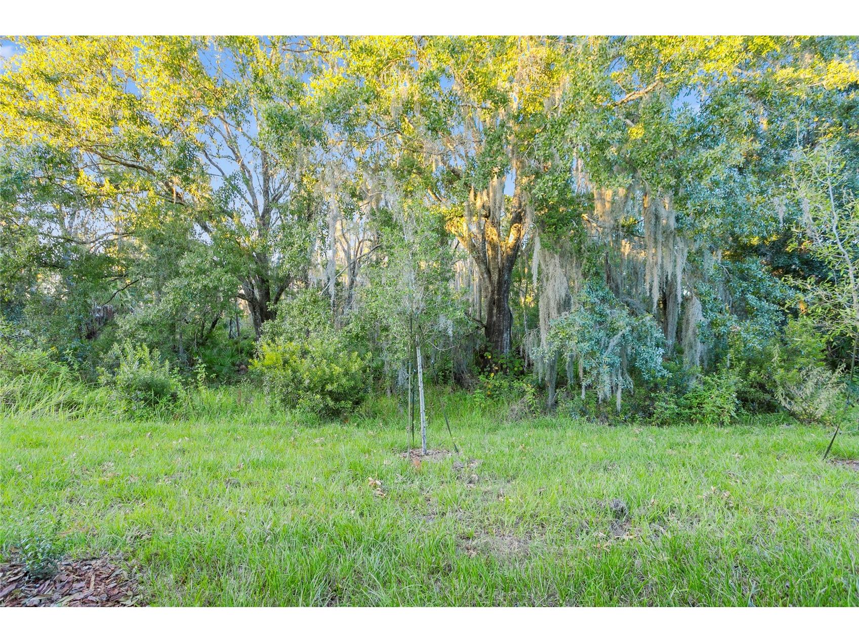 32859 Pez Landing Lane Wesley Chapel FL 33543 TB8458937 image22