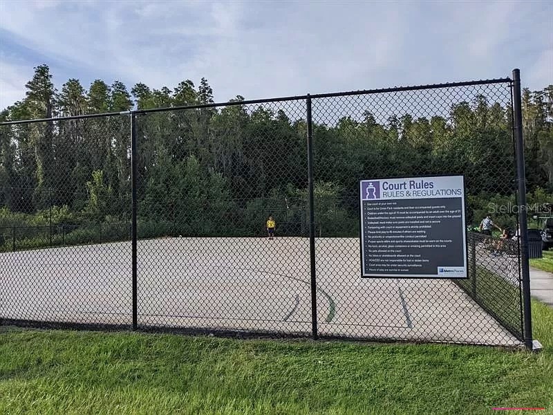 32859 Pez Landing Lane Wesley Chapel FL 33543 TB8458937 image31