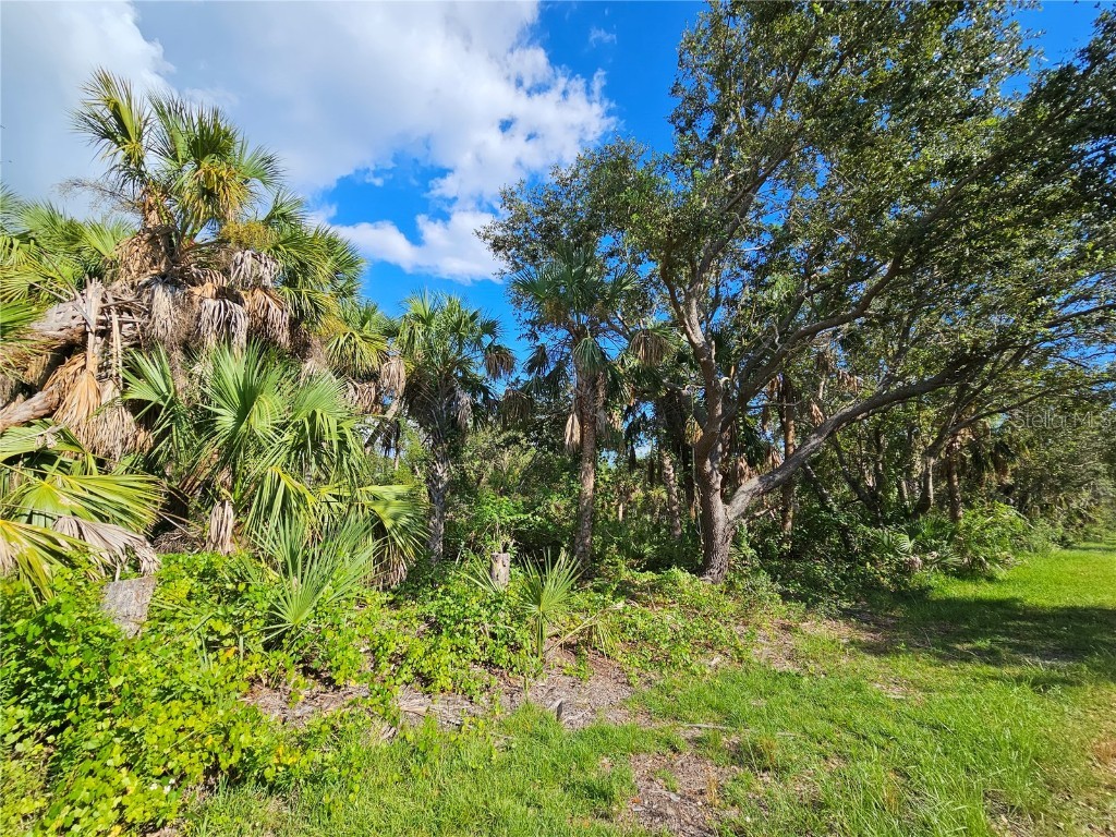 3286 Century Street Port Charlotte FL 33948 N6128542 image3