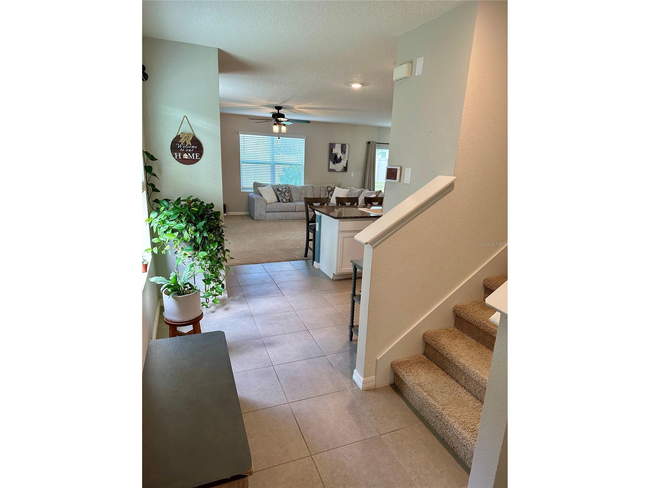 32860 Brooks Hawk Lane Wesley Chapel FL 33543 TB8474061 image12