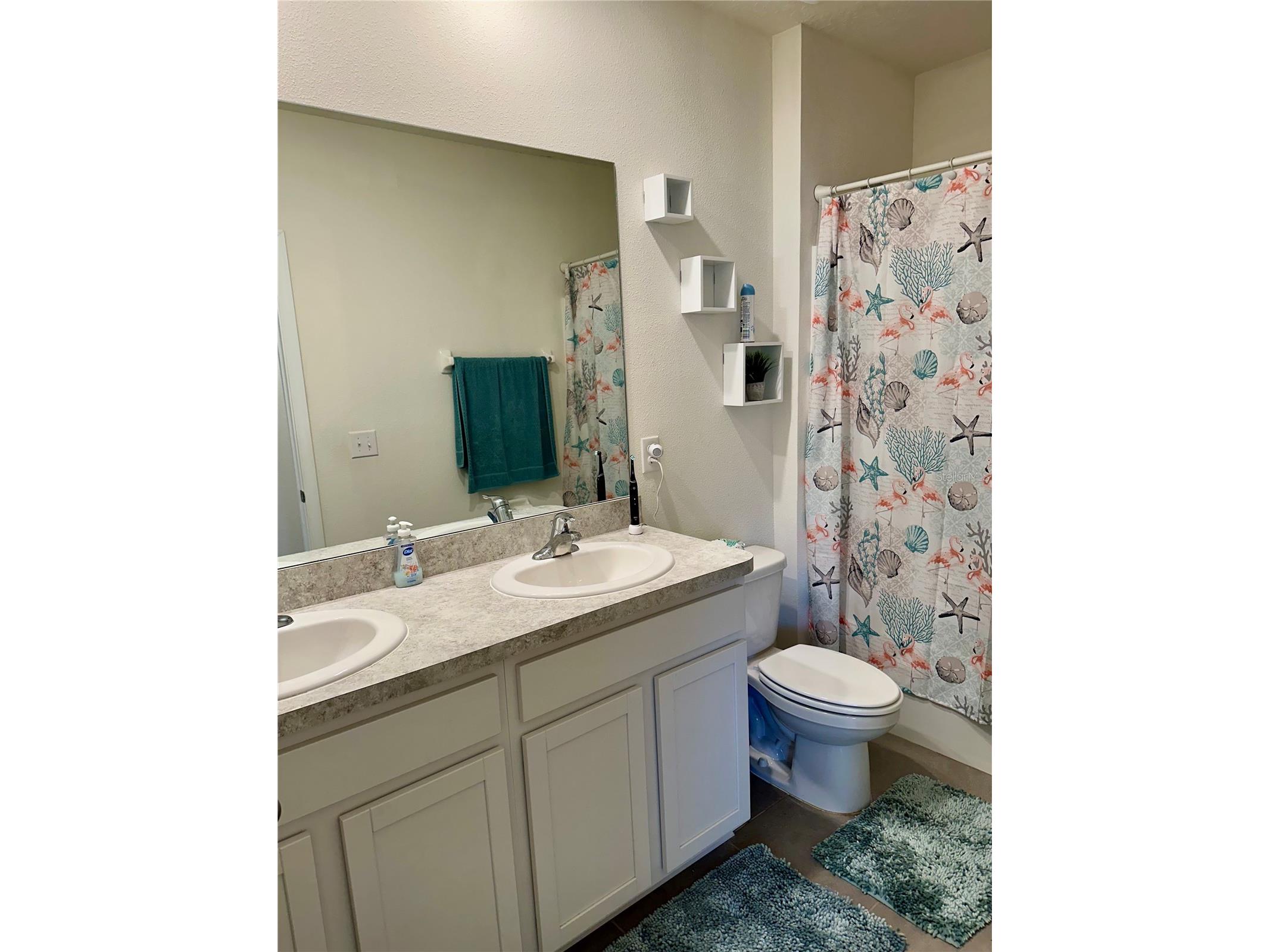 32860 Brooks Hawk Lane Wesley Chapel FL 33543 TB8474061 image13