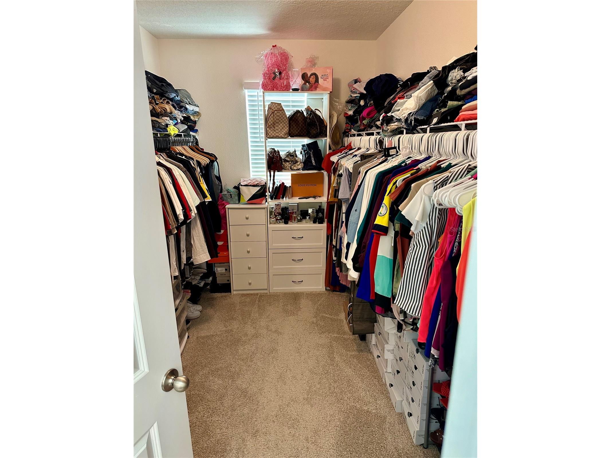 32860 Brooks Hawk Lane Wesley Chapel FL 33543 TB8474061 image18
