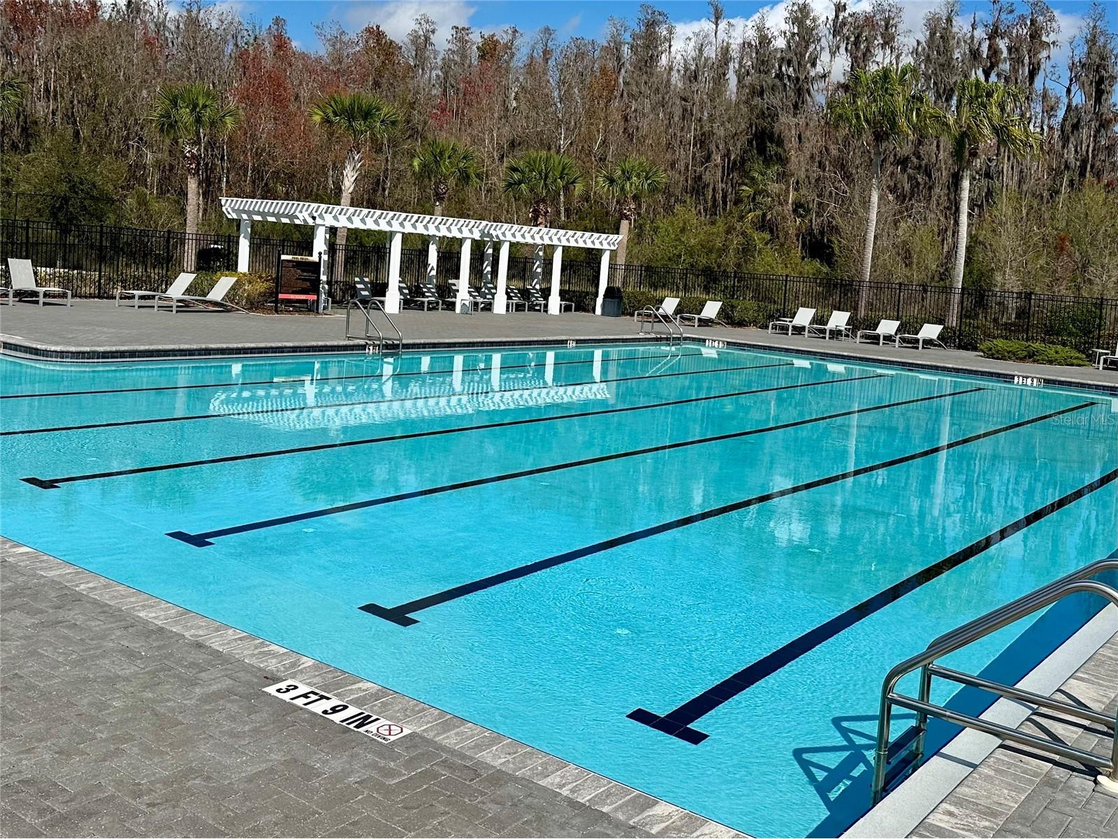 32860 Brooks Hawk Lane Wesley Chapel FL 33543 TB8474061 image26