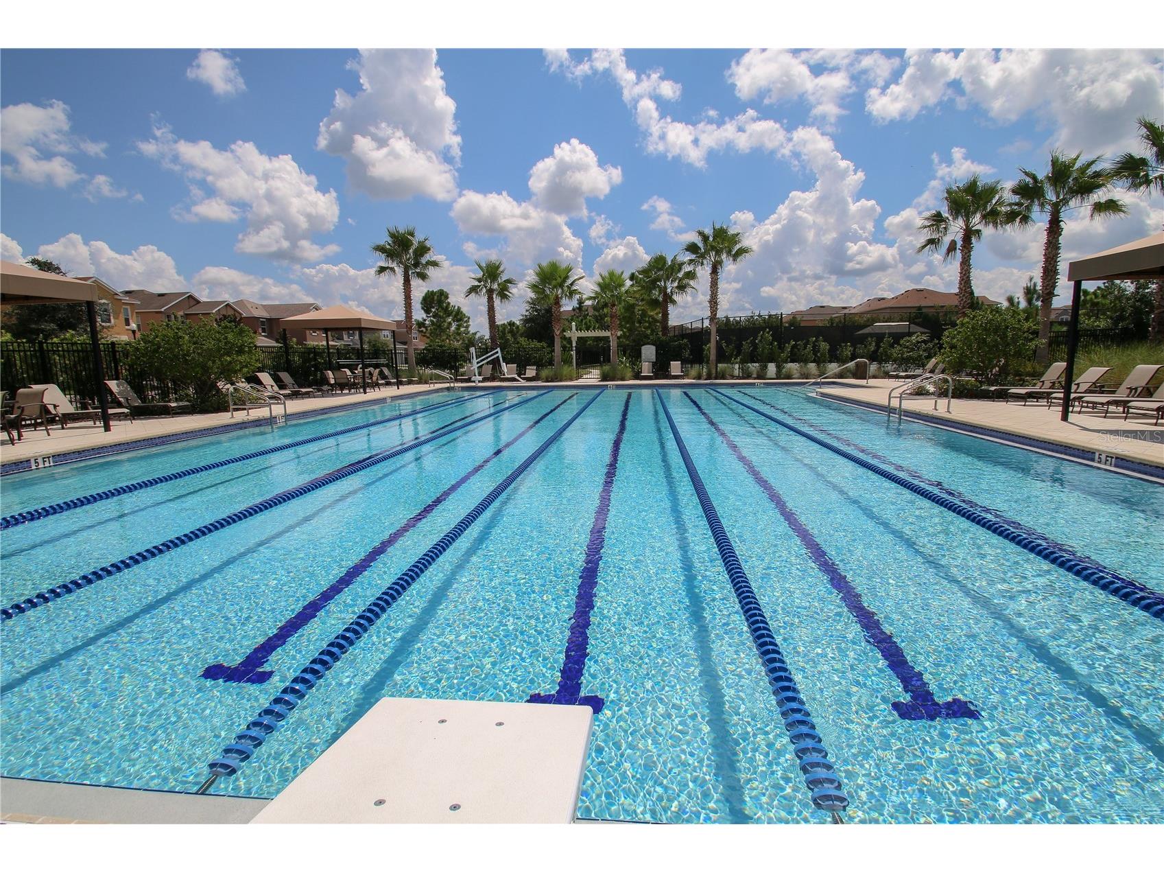 32863 Woodthrush Way Wesley Chapel FL 33545 TB8486125 image31