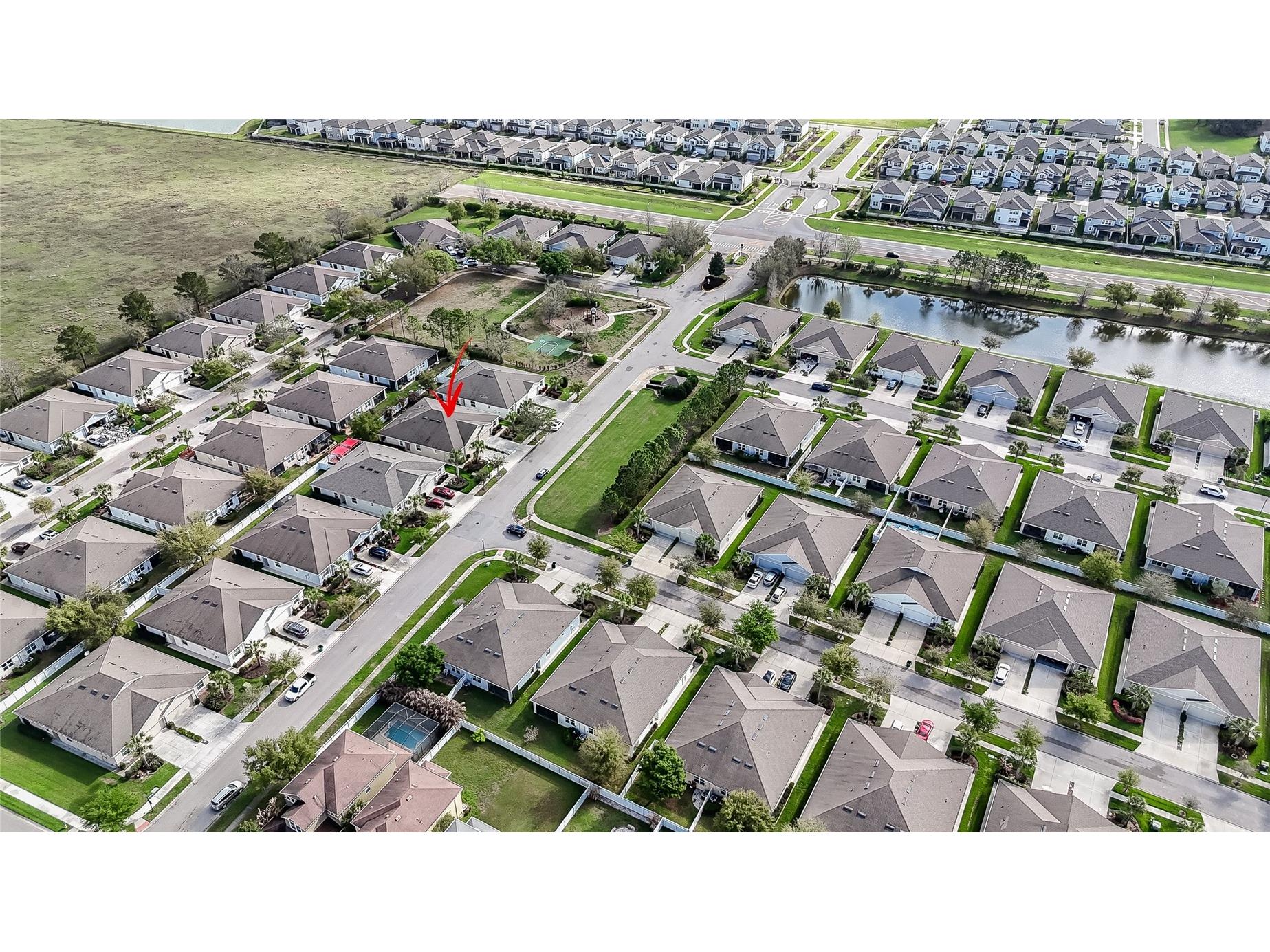32863 Woodthrush Way Wesley Chapel FL 33545 TB8486125 image40