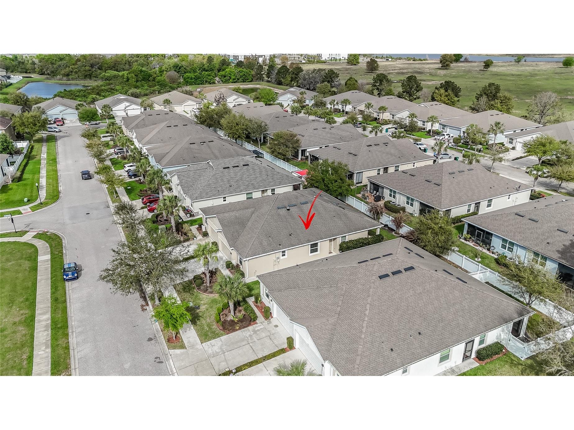 32863 Woodthrush Way Wesley Chapel FL 33545 TB8486125 image41