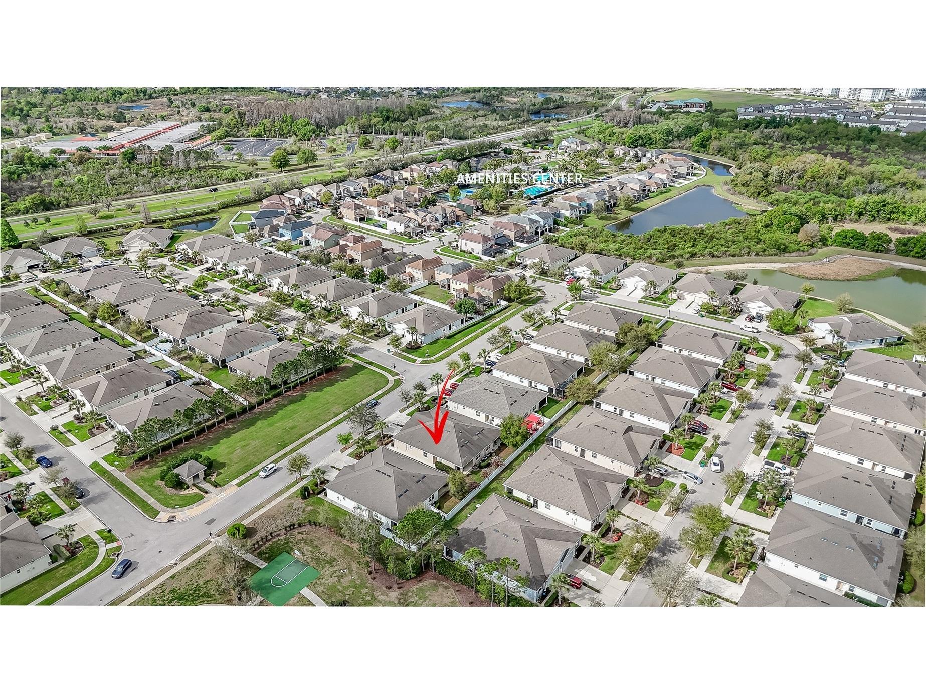 32863 Woodthrush Way Wesley Chapel FL 33545 TB8486125 image42
