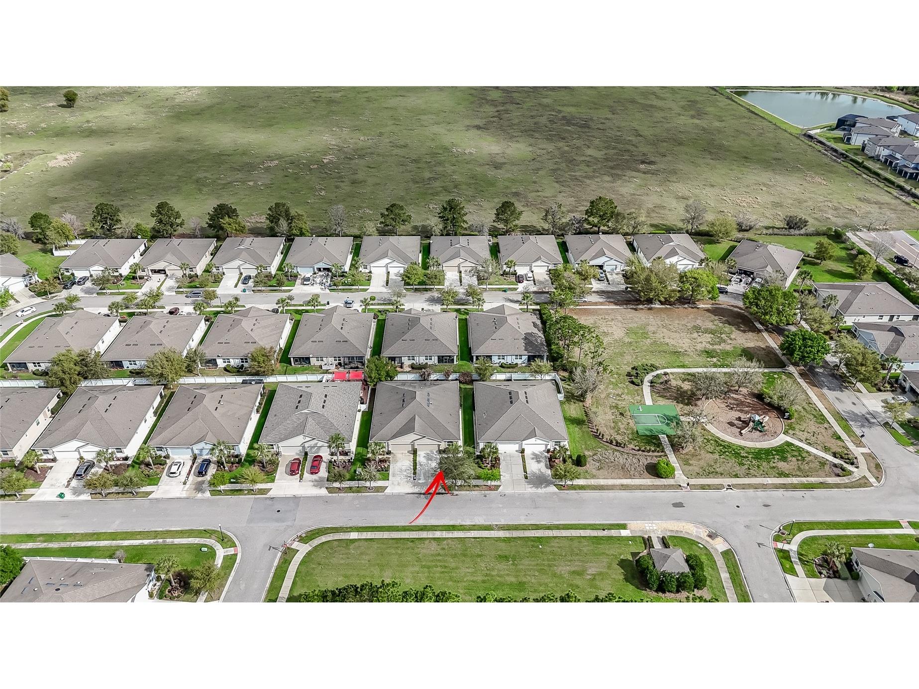 32863 Woodthrush Way Wesley Chapel FL 33545 TB8486125 image44