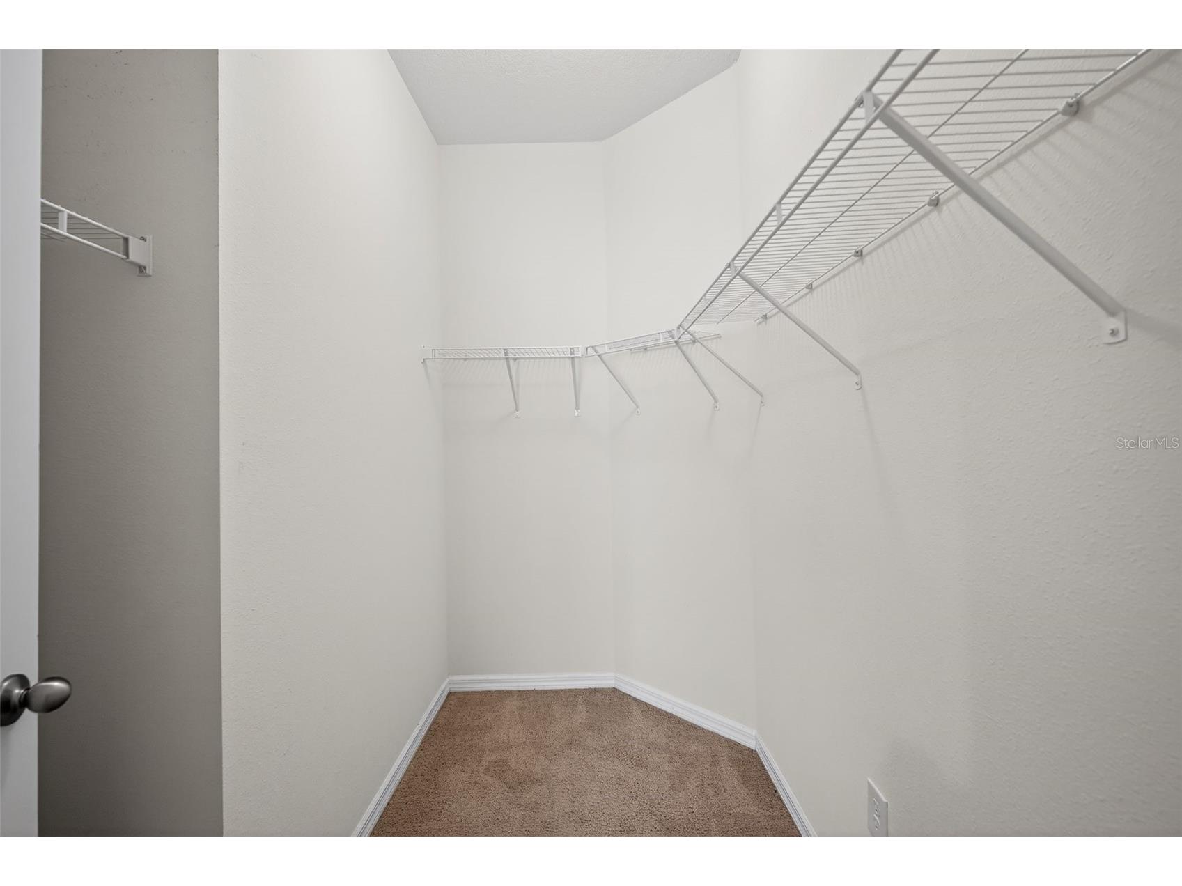 32869 Woodthrush Way Wesley Chapel FL 33545 O6392477 image24