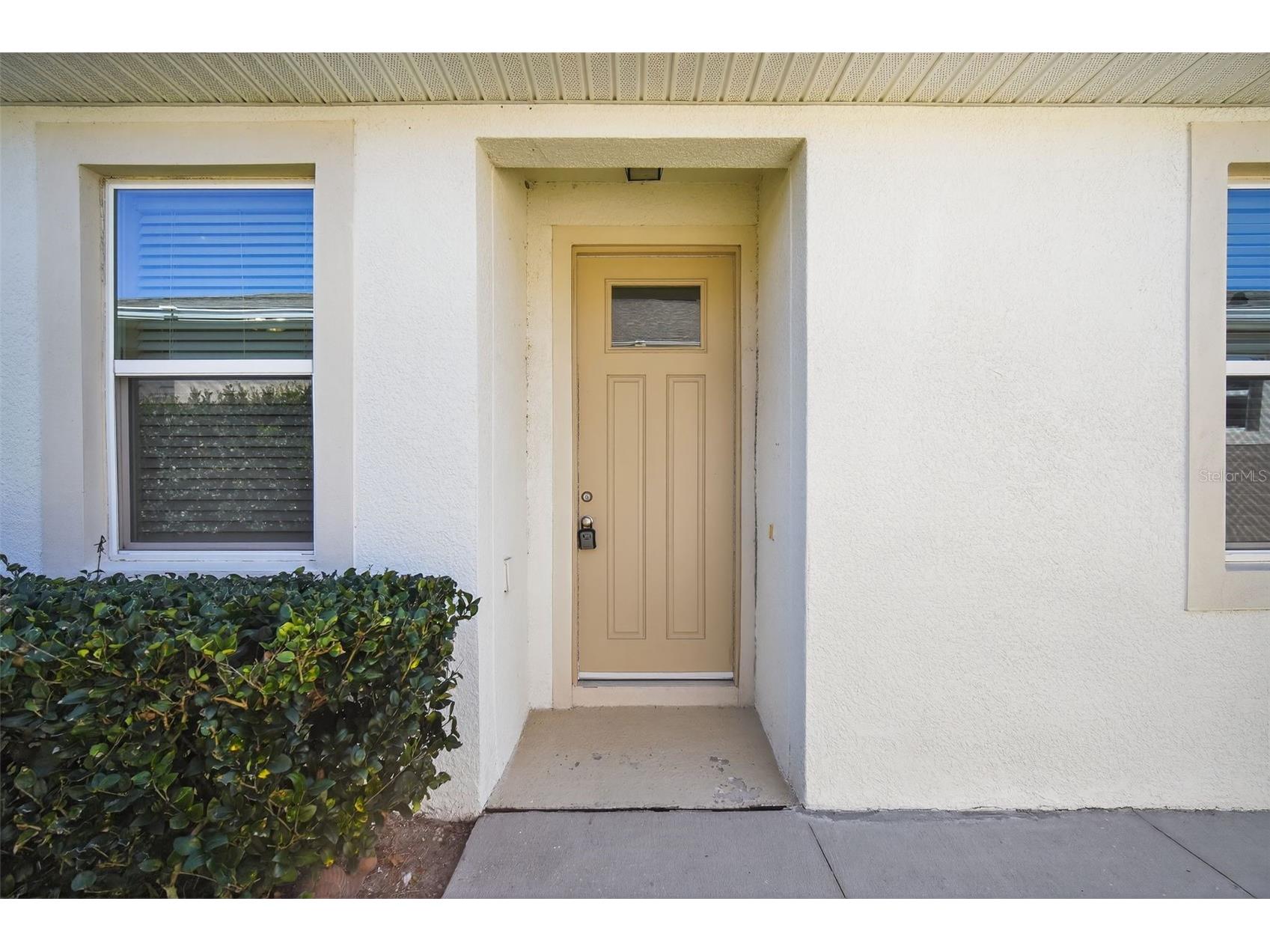 32869 Woodthrush Way Wesley Chapel FL 33545 O6392477 image3