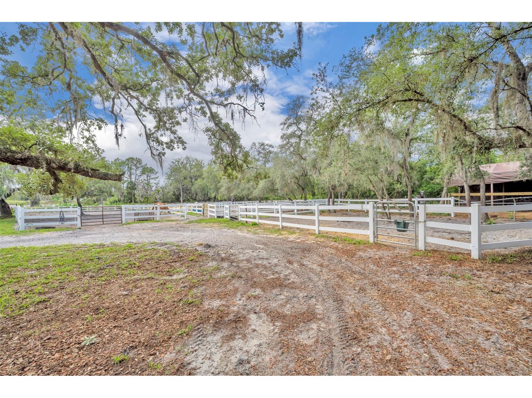 3287 N County Road 426 Geneva FL 32732 O6405410 image14