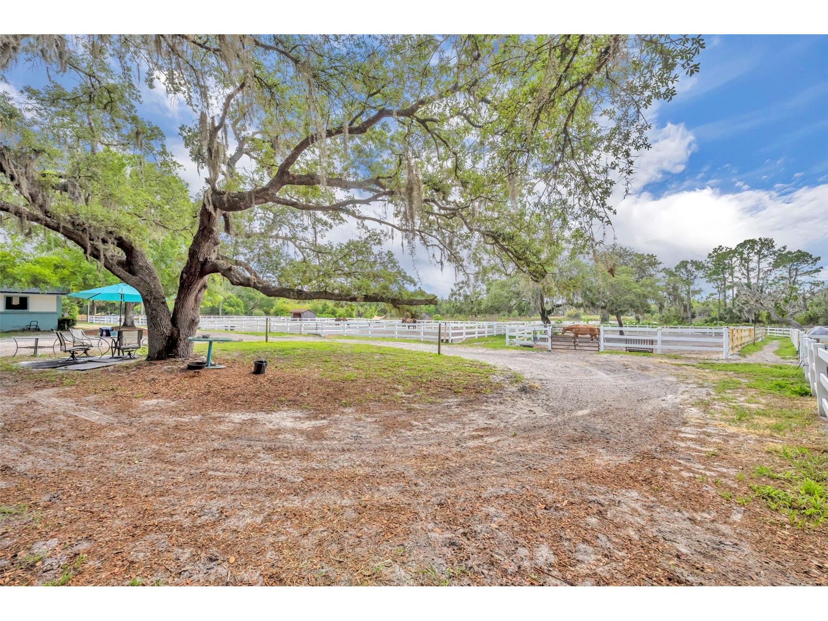 3287 N County Road 426 Geneva FL 32732 O6405410 image15