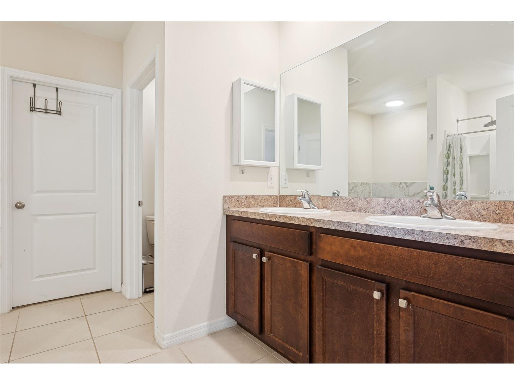 32871 Brooks Hawk Lane Wesley Chapel FL 33543 TB8477768 image27