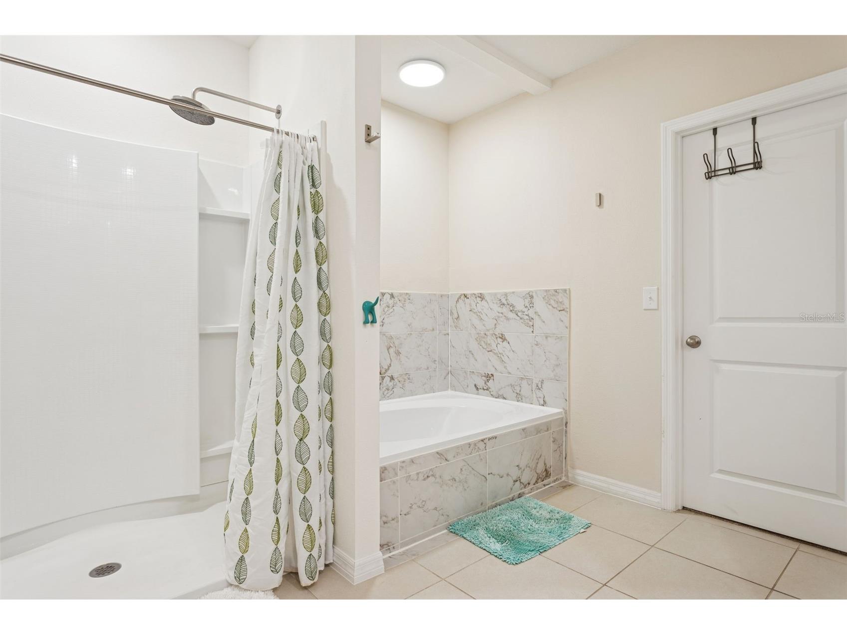 32871 Brooks Hawk Lane Wesley Chapel FL 33543 TB8477768 image28