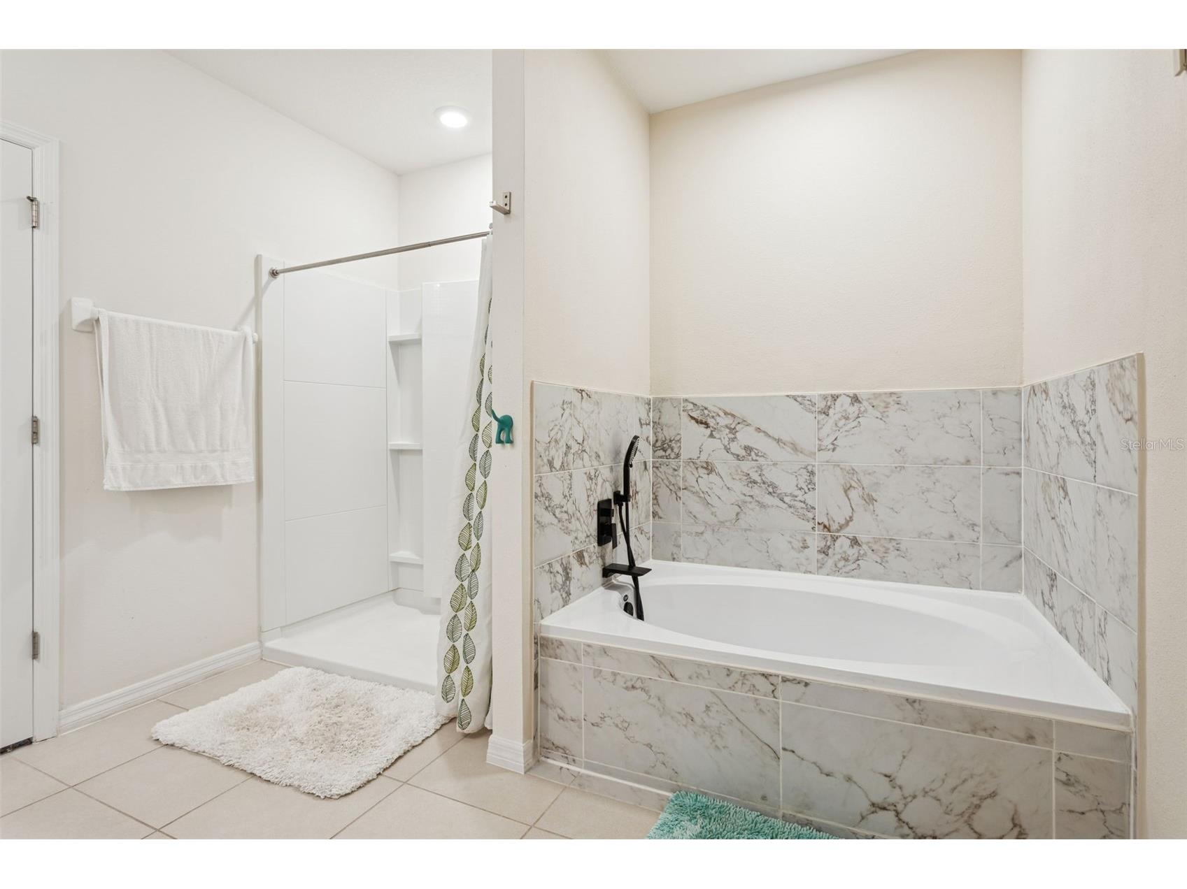 32871 Brooks Hawk Lane Wesley Chapel FL 33543 TB8477768 image29