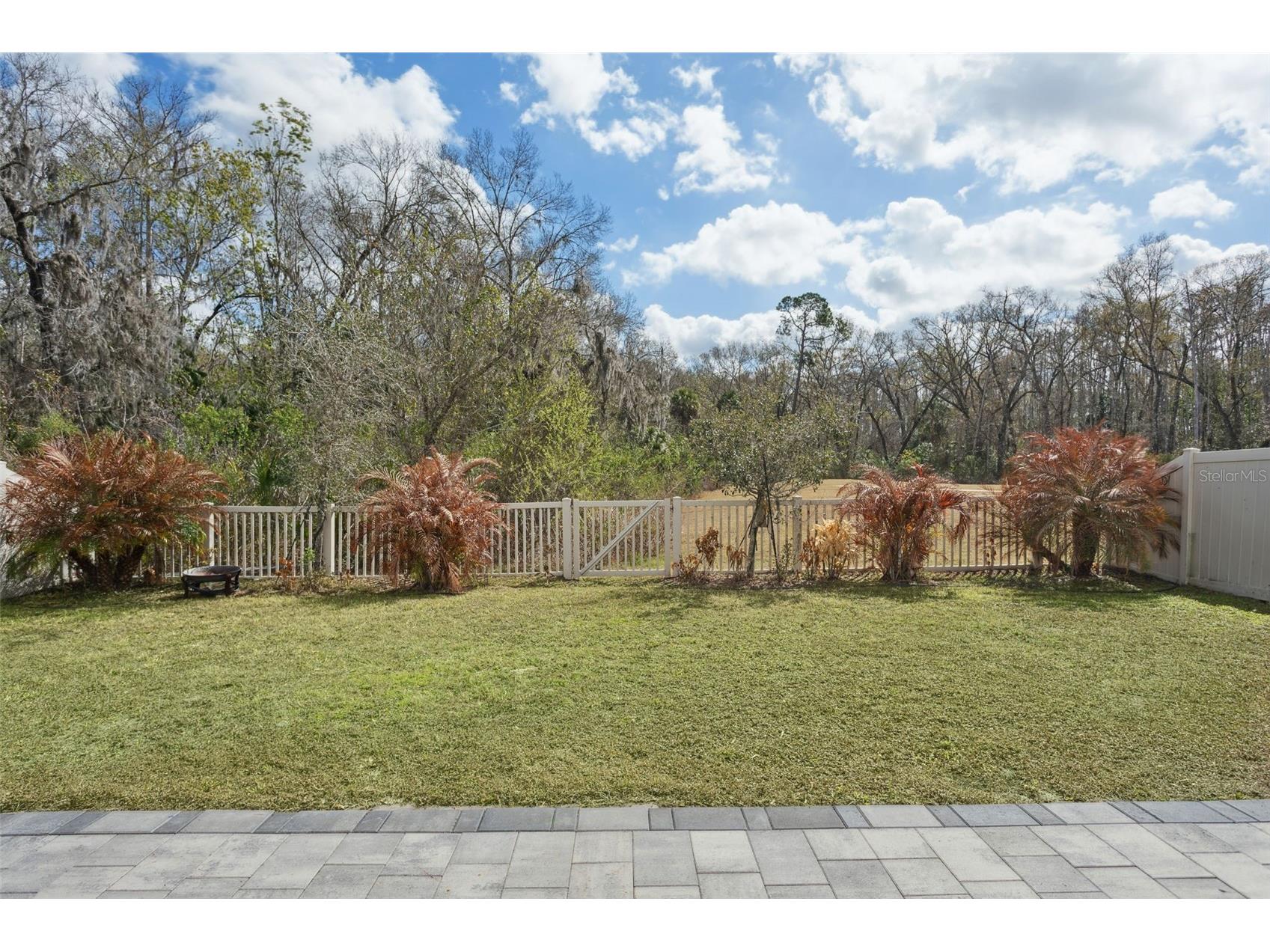 32871 Brooks Hawk Lane Wesley Chapel FL 33543 TB8477768 image34