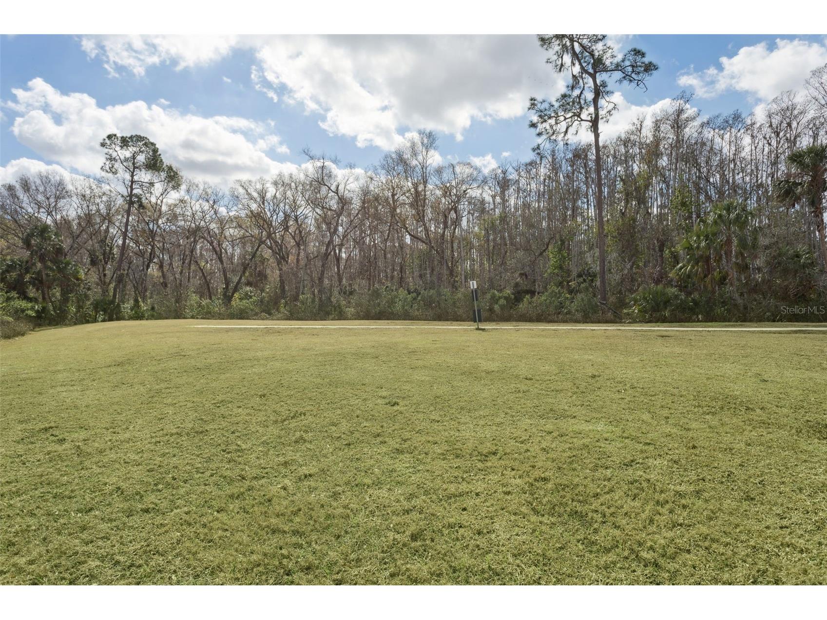 32871 Brooks Hawk Lane Wesley Chapel FL 33543 TB8477768 image39