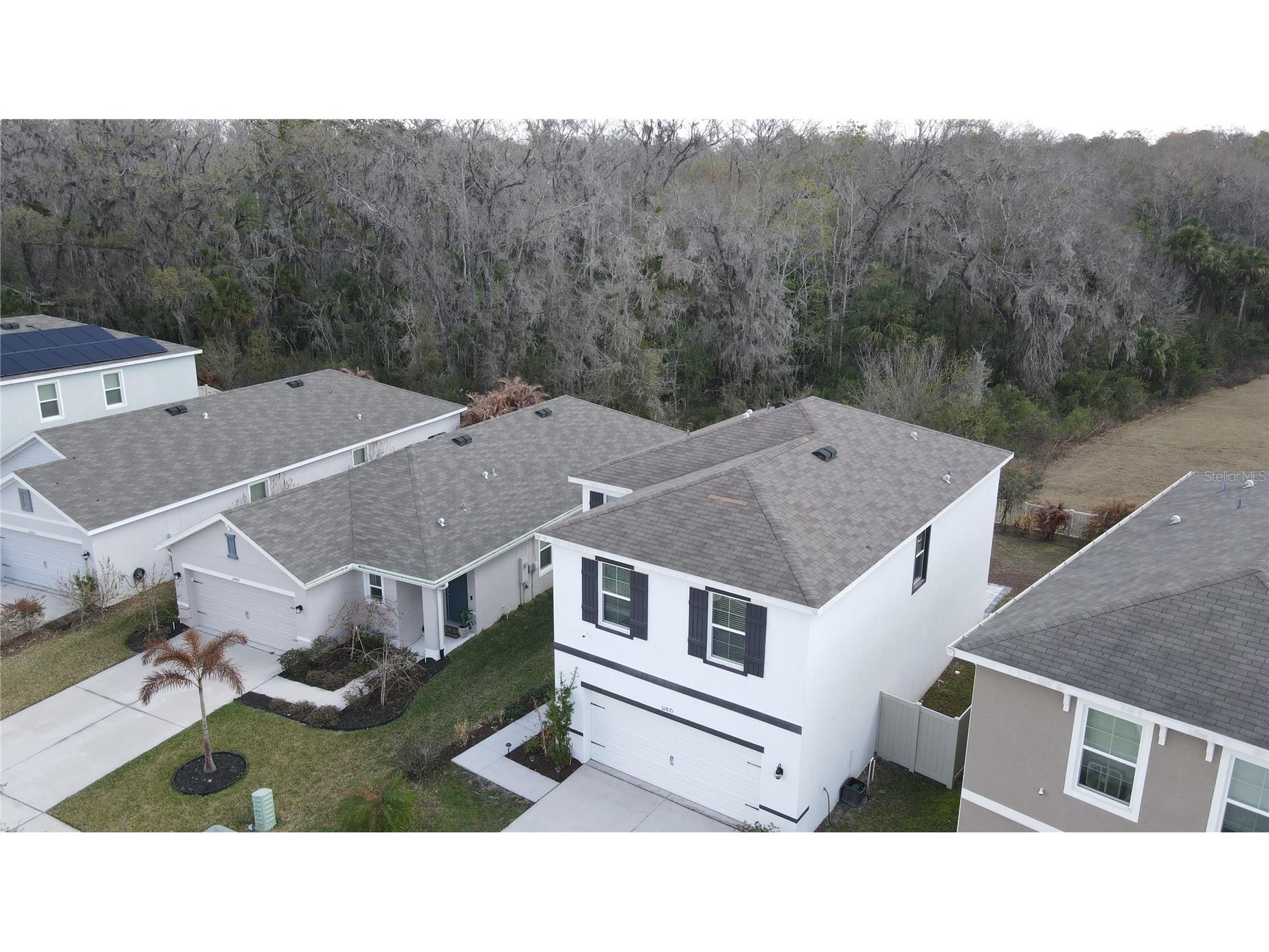 32871 Brooks Hawk Lane Wesley Chapel FL 33543 TB8477768 image41