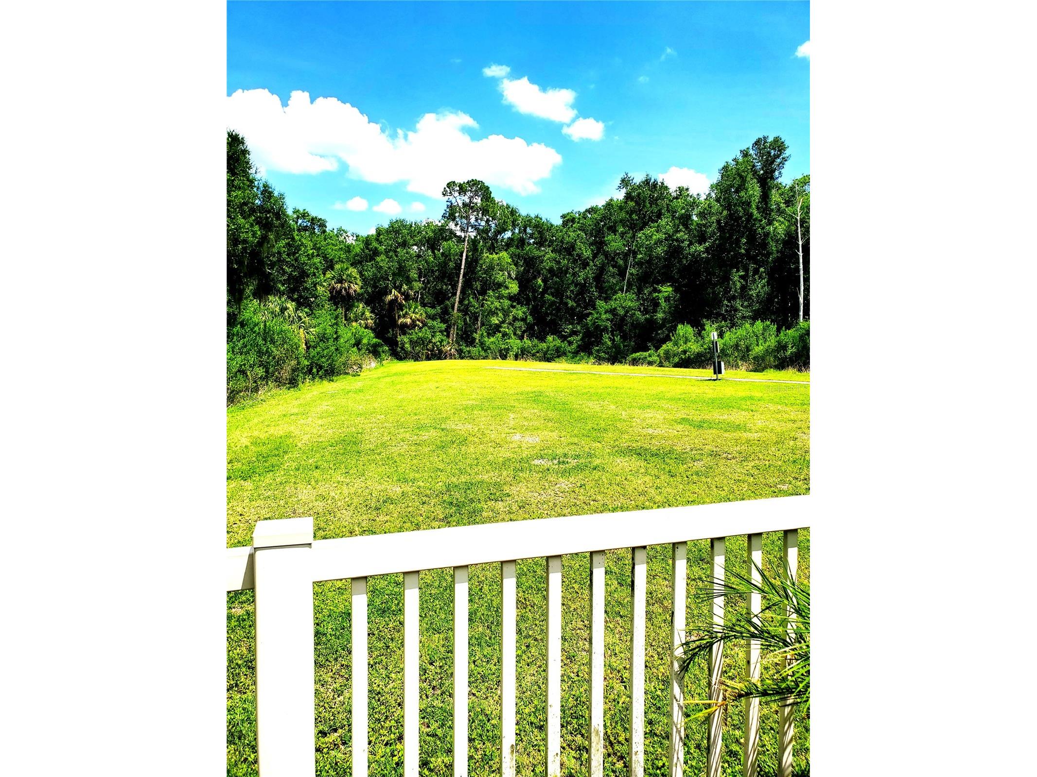 32871 Brooks Hawk Lane Wesley Chapel FL 33543 TB8512357 image13