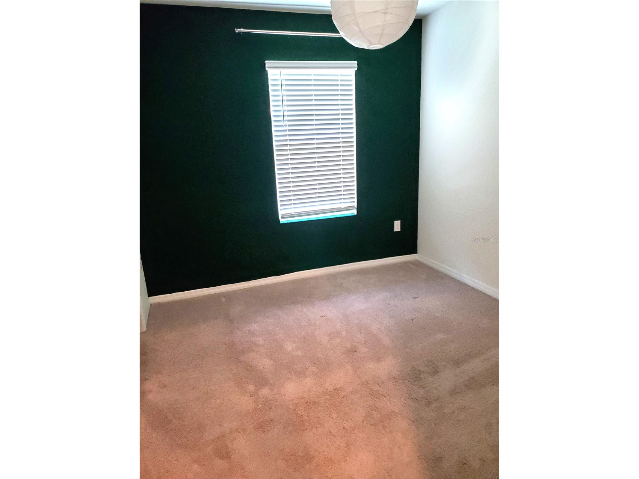 32871 Brooks Hawk Lane Wesley Chapel FL 33543 TB8512357 image14