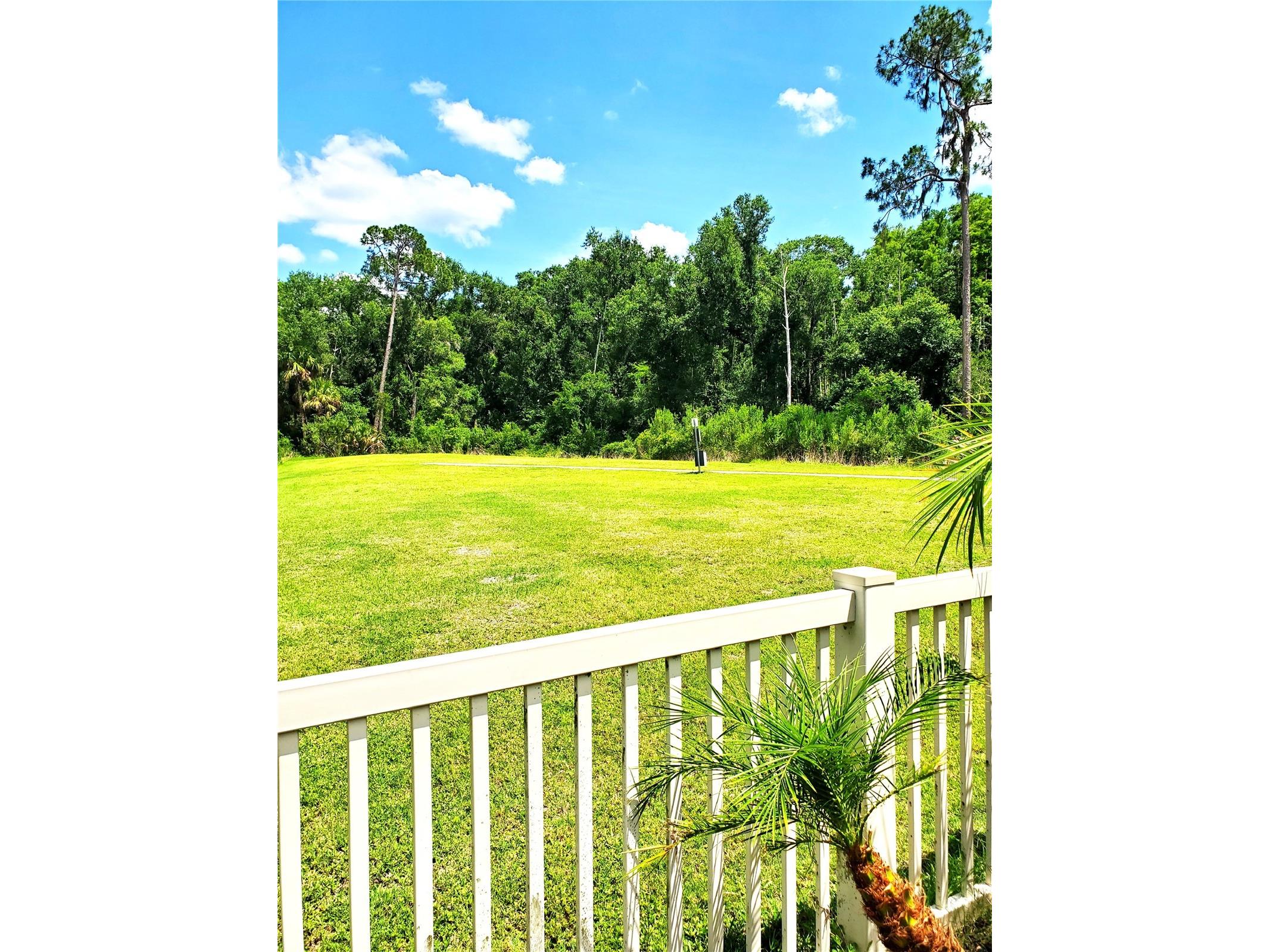 32871 Brooks Hawk Lane Wesley Chapel FL 33543 TB8512357 image28