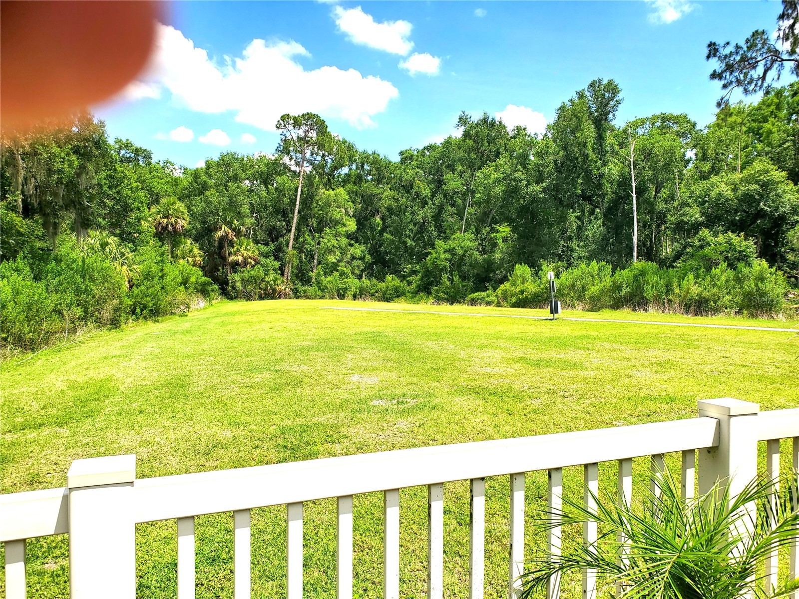 32871 Brooks Hawk Lane Wesley Chapel FL 33543 TB8512357 image29