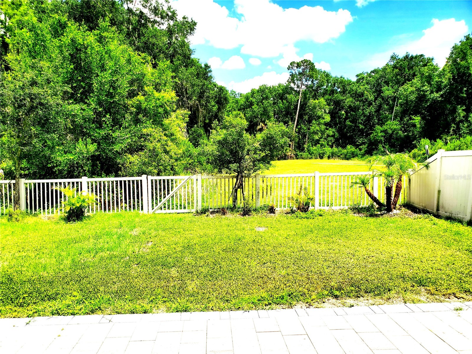 32871 Brooks Hawk Lane Wesley Chapel FL 33543 TB8512357 image30