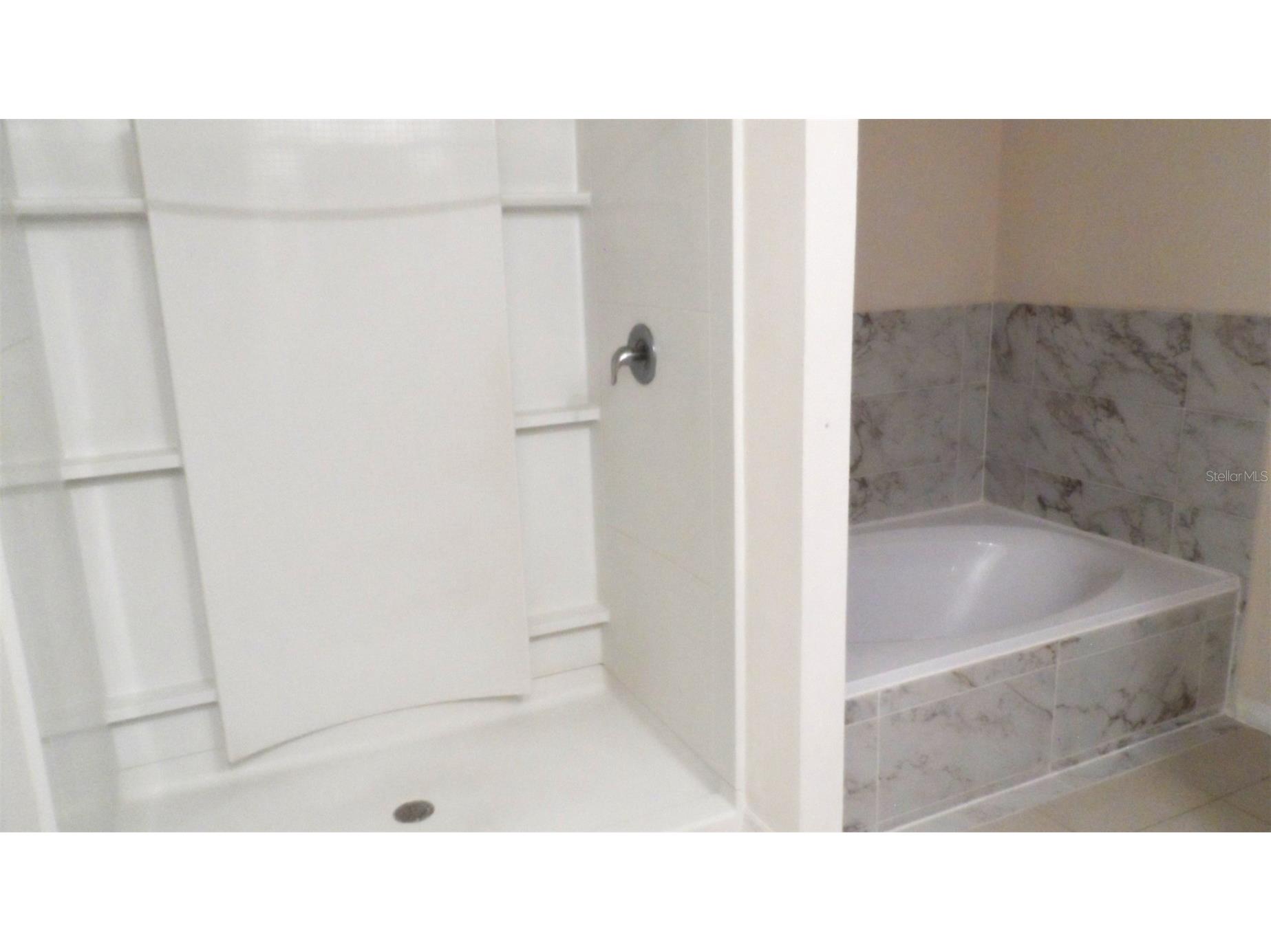 32871 Brooks Hawk Lane Wesley Chapel FL 33543 TB8512357 image9