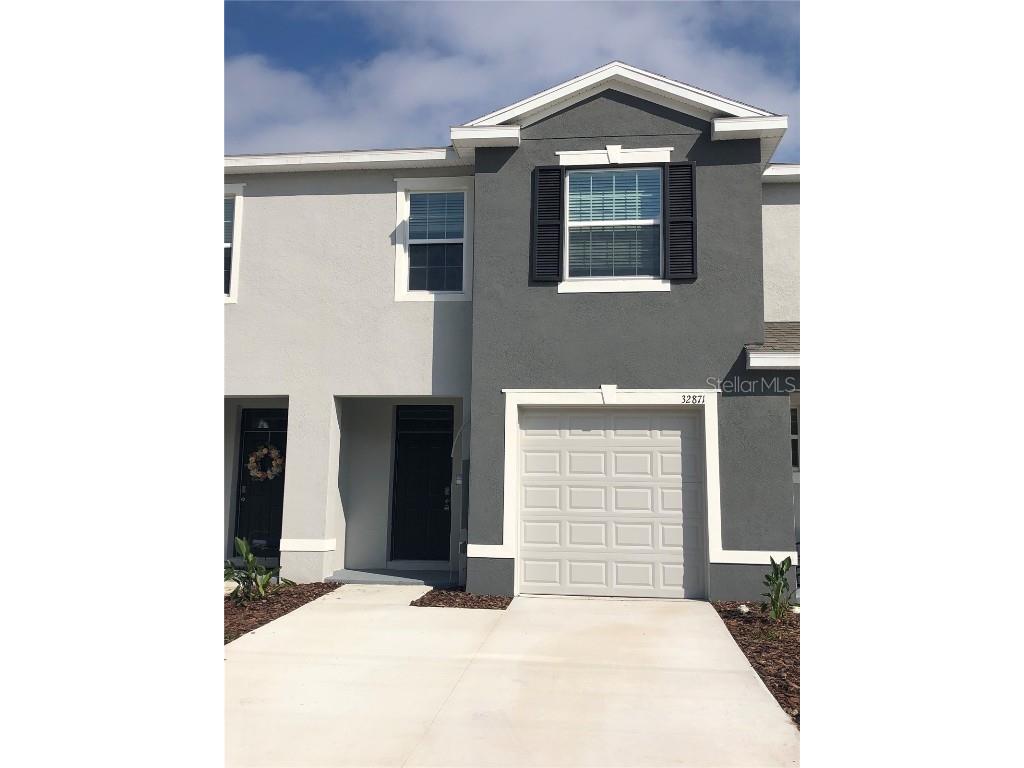 32871 Pez Landing Lane Wesley Chapel FL 33543 T3505729 image1