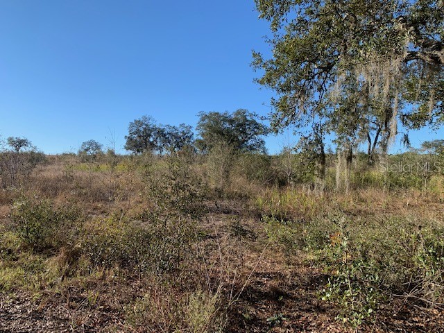 3288 Masterpiece Road Lake Wales FL 33898 S5133337 image10